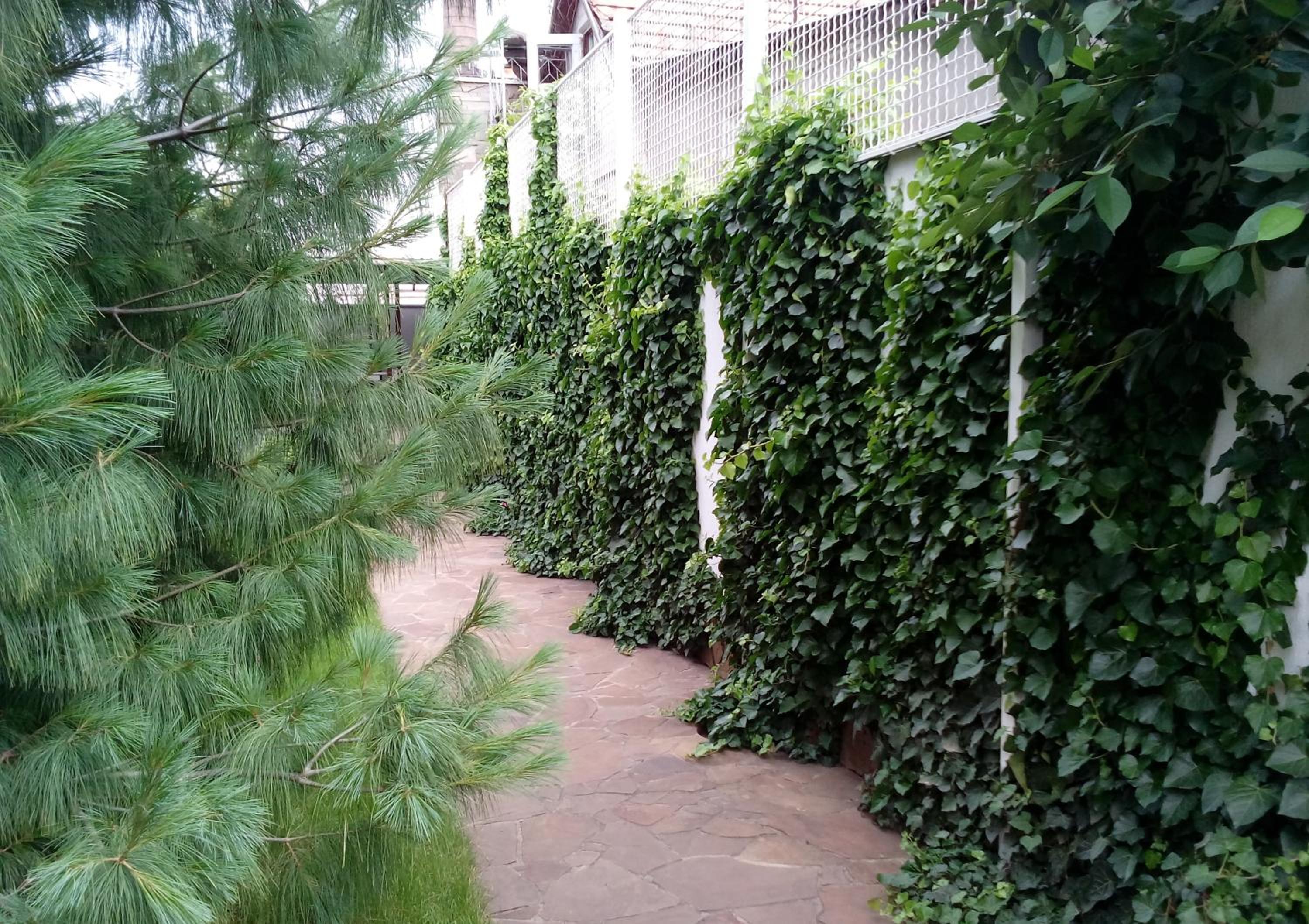 Photo 43