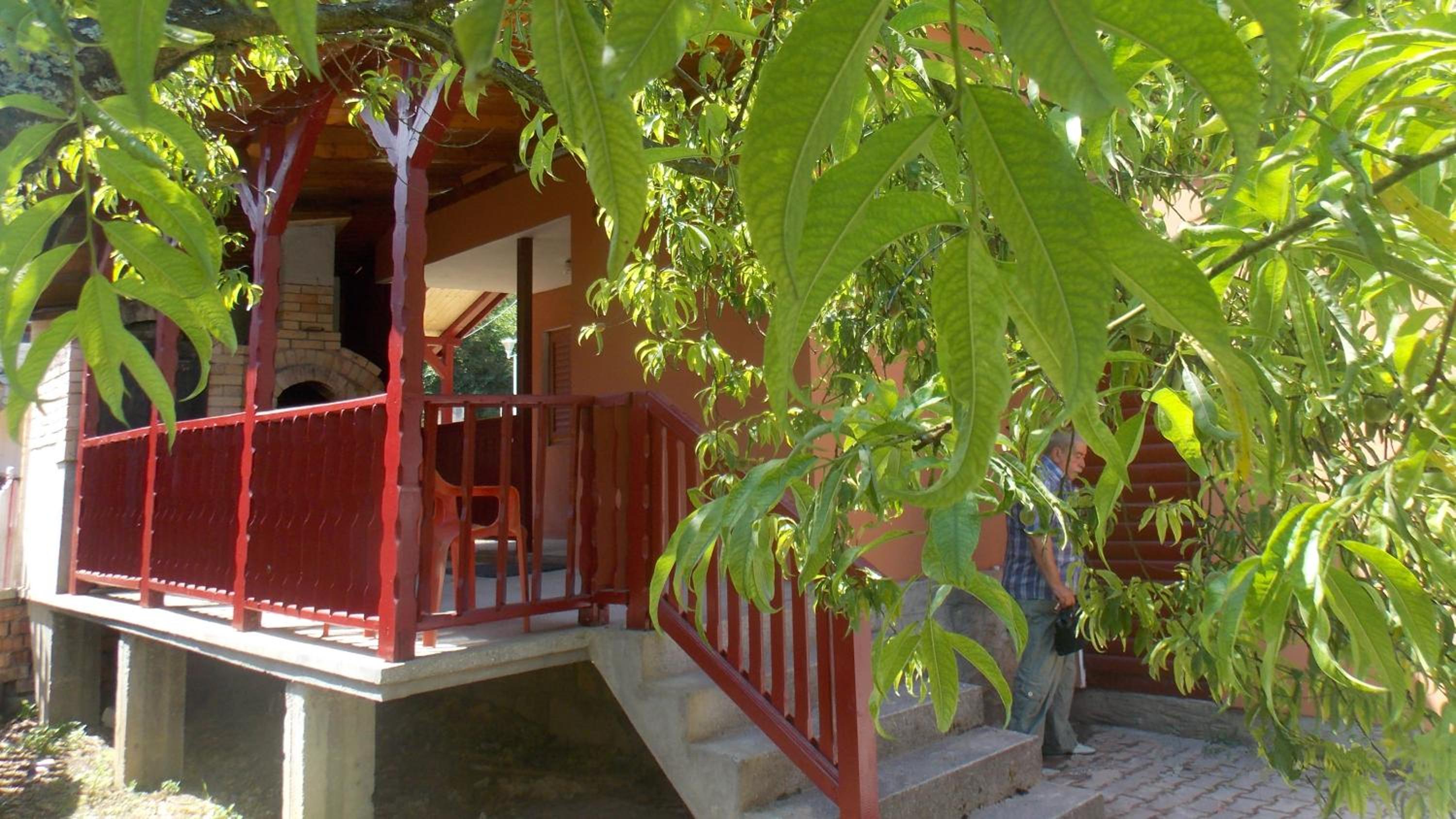 Photo 11
