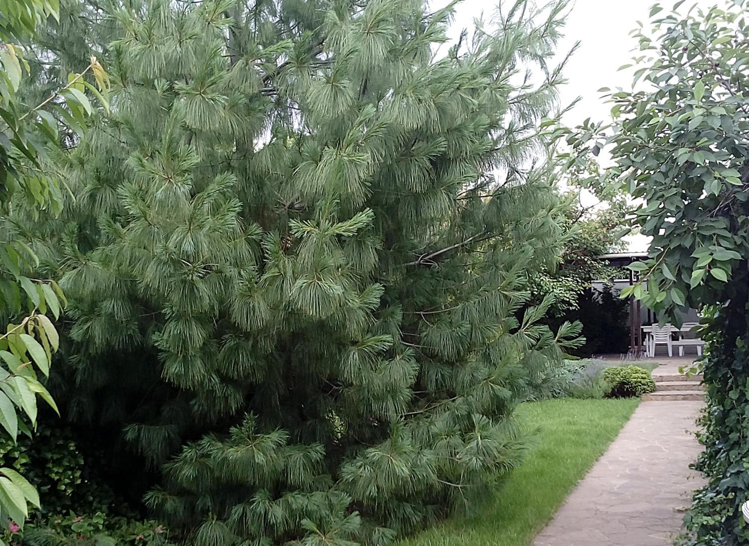 Photo 36