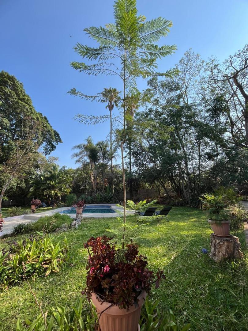 Peaceful 4-Bedroom Retreat with Lush Gardens Pool – Highlands - 2346