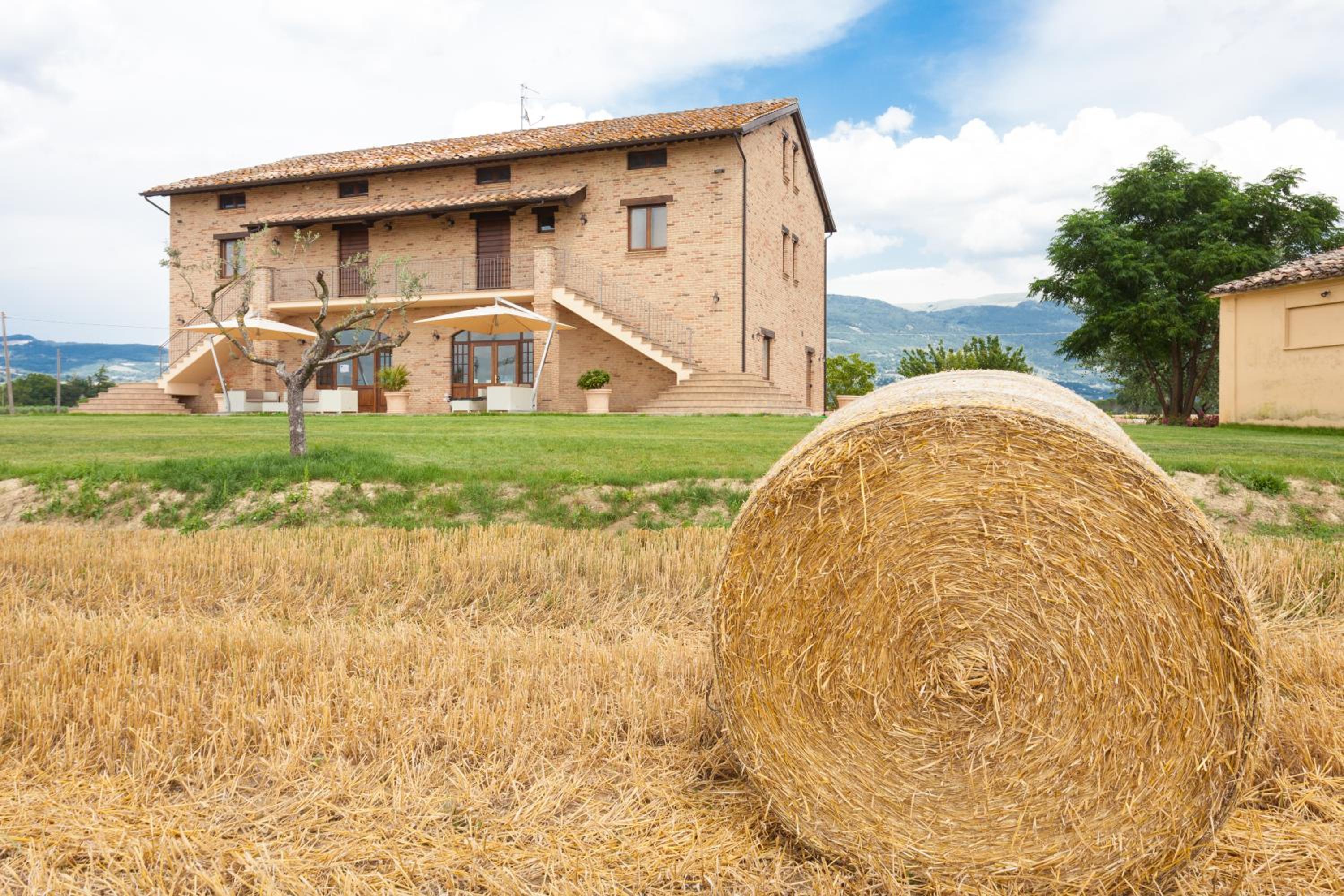 Assisium Agriturismo