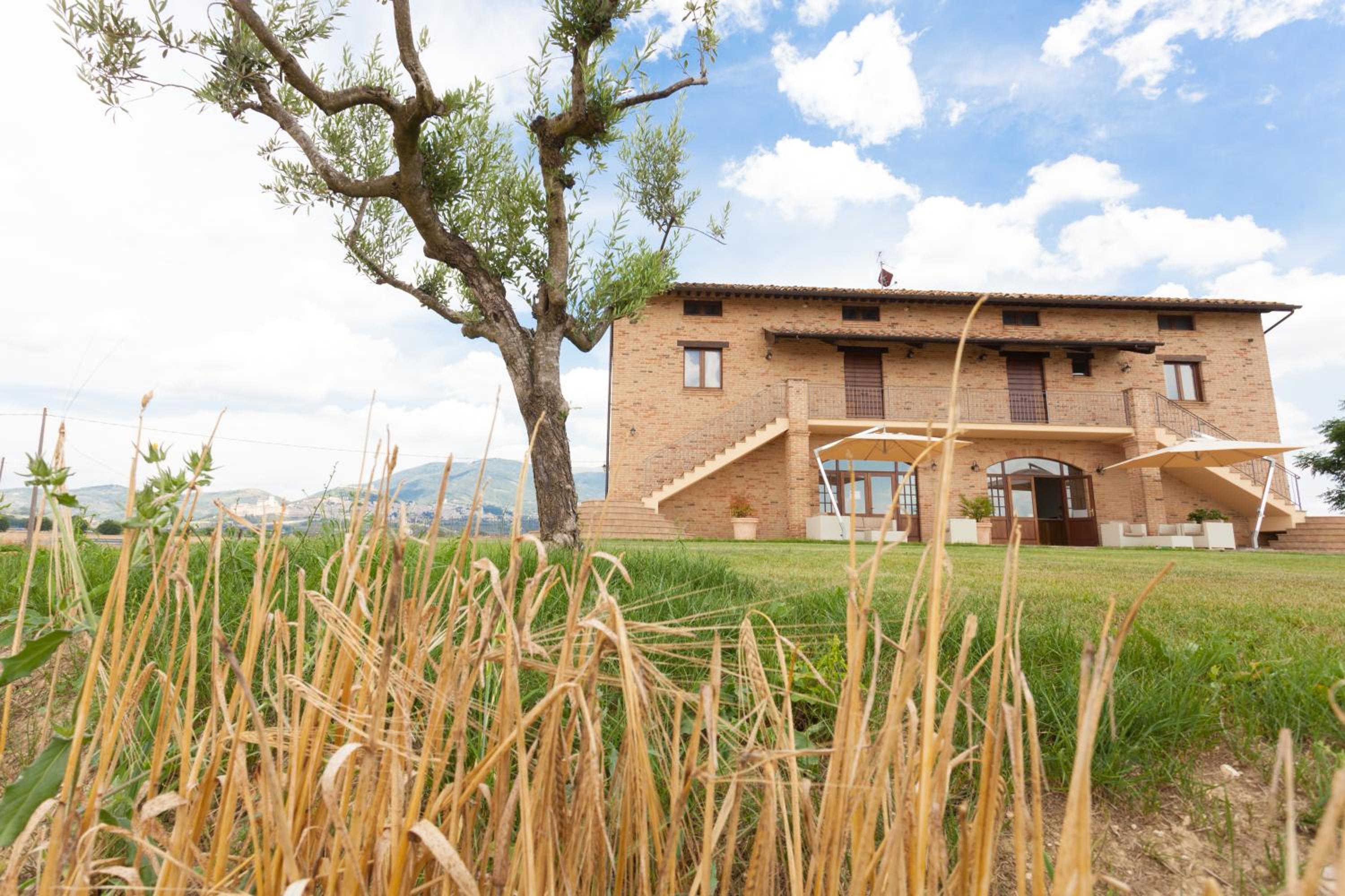Assisium Agriturismo