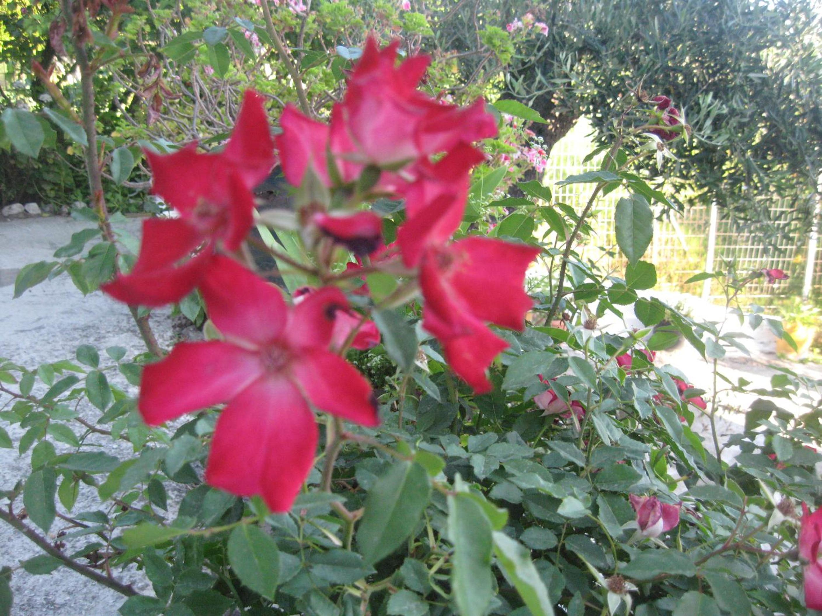 Photo 30