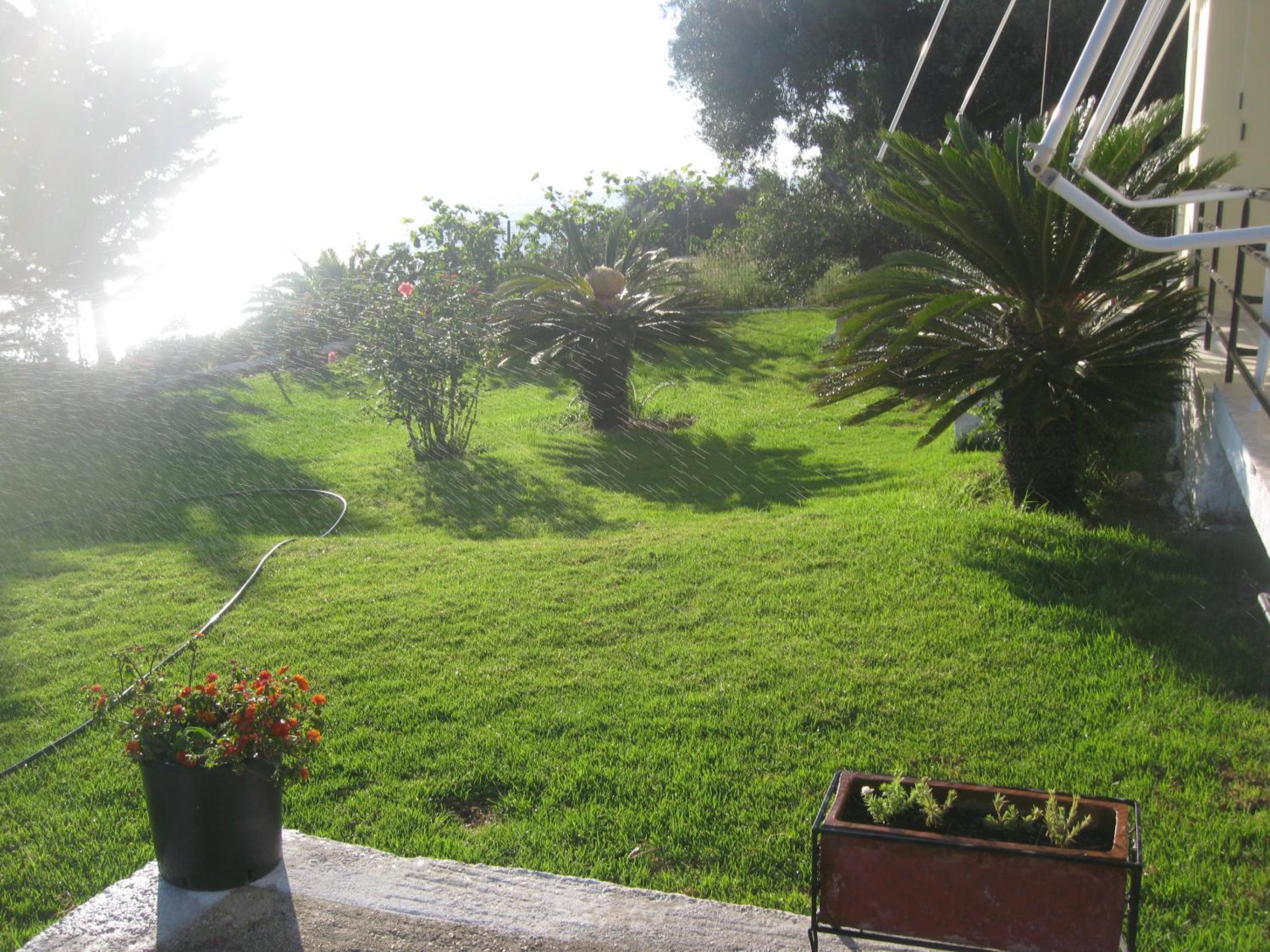 Photo 31