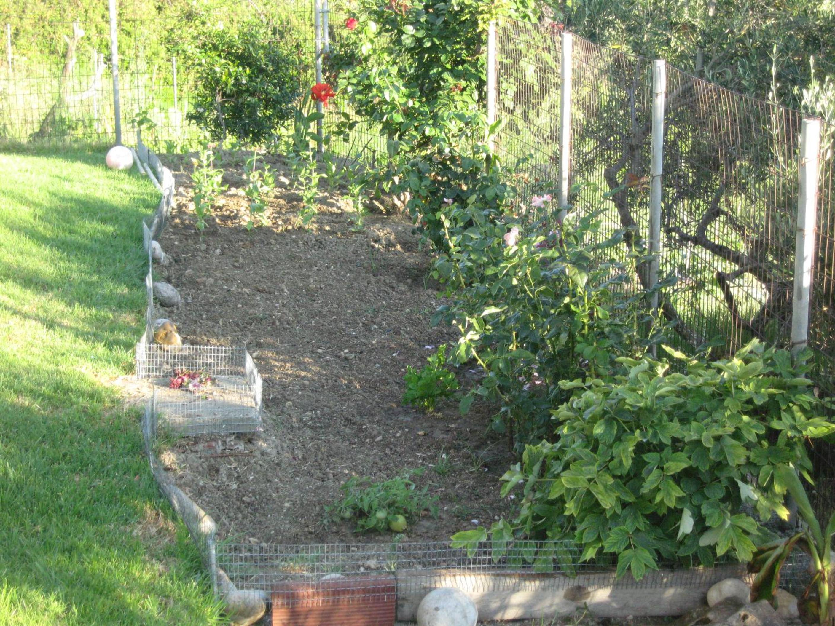 Photo 36