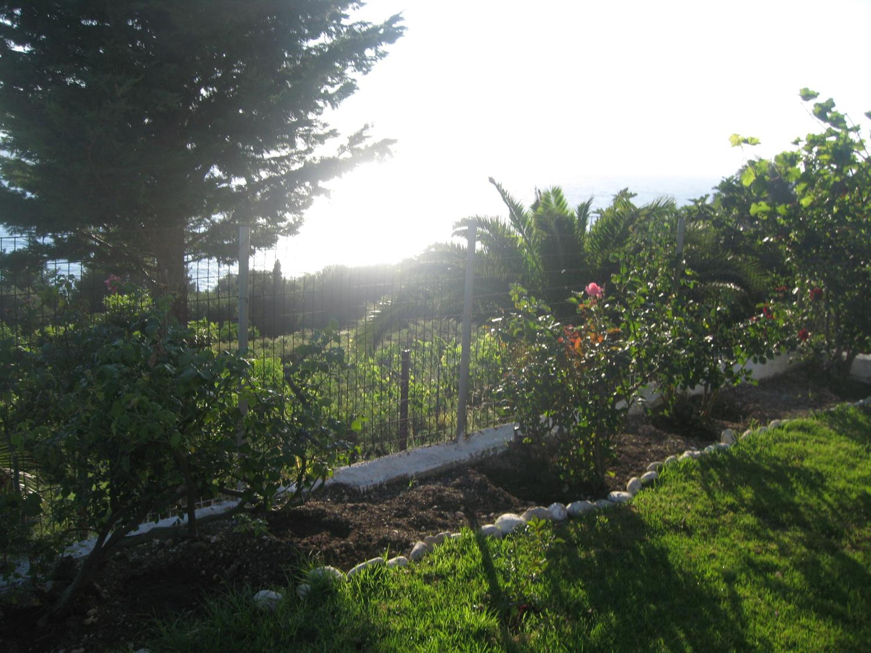 Photo 37