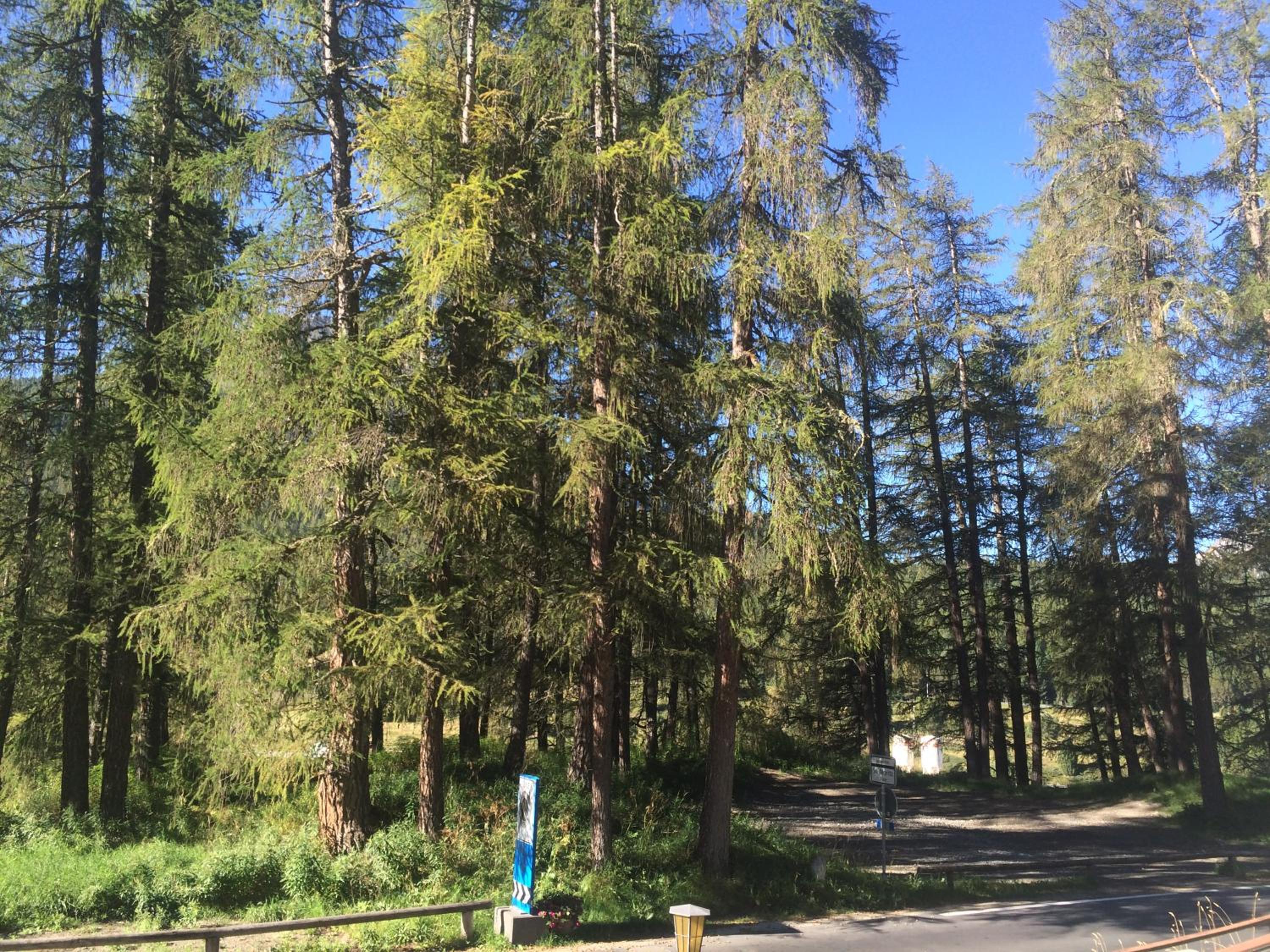 Photo 26