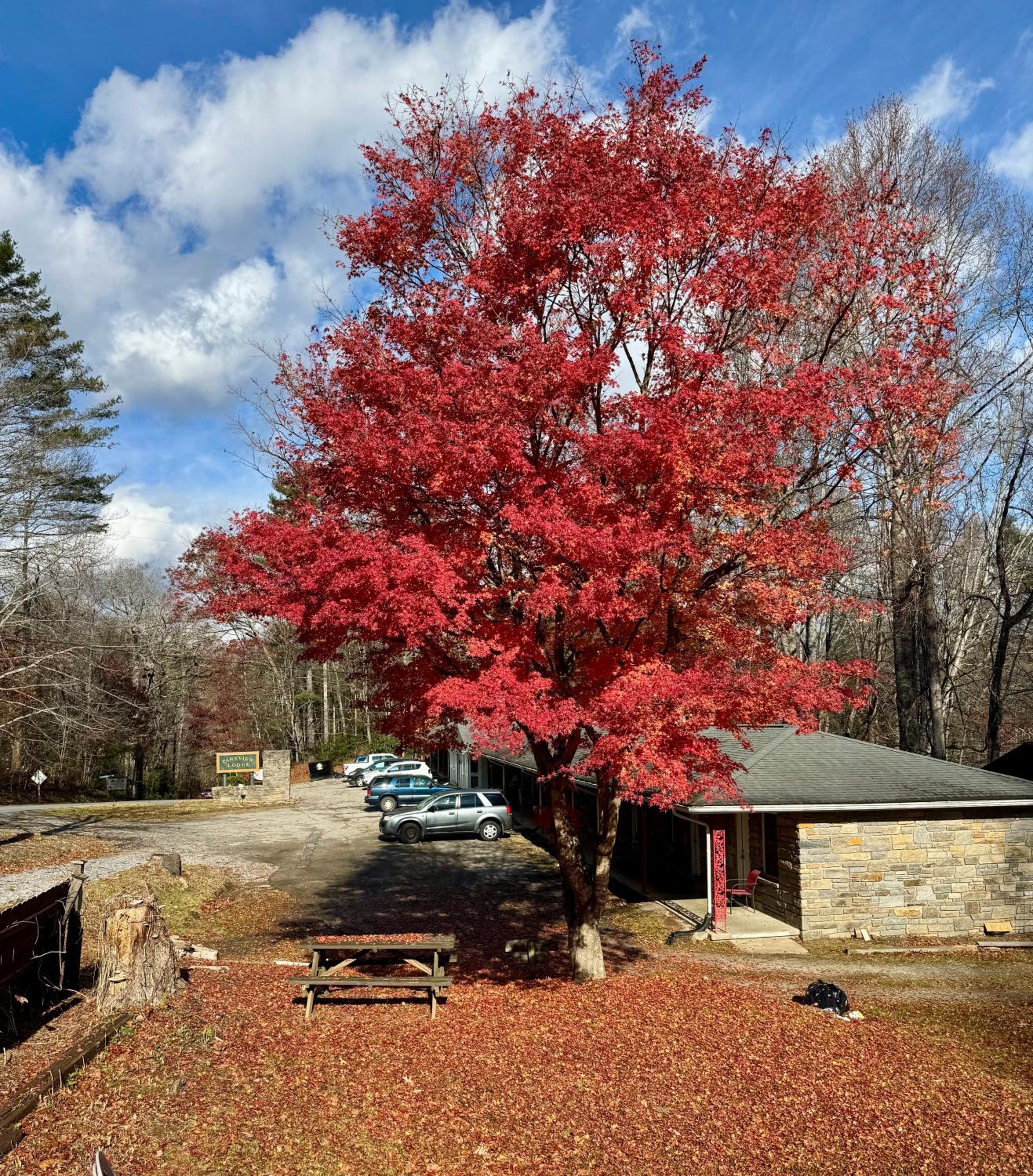 Parkview Lodge & Cabins
