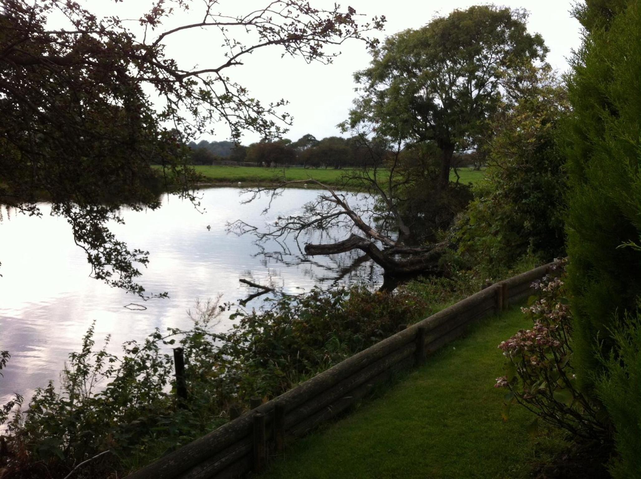 Photo 17