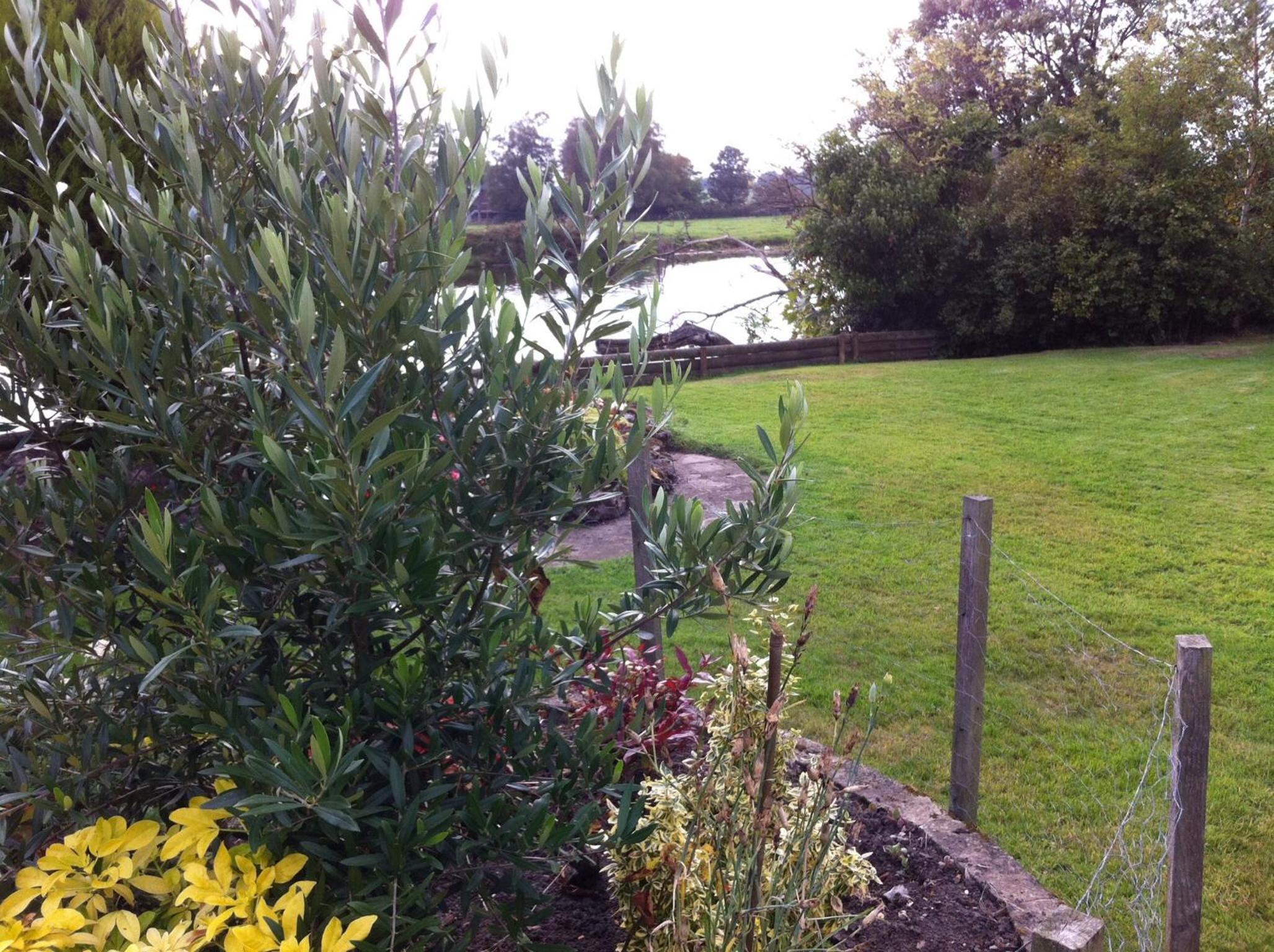 Photo 18