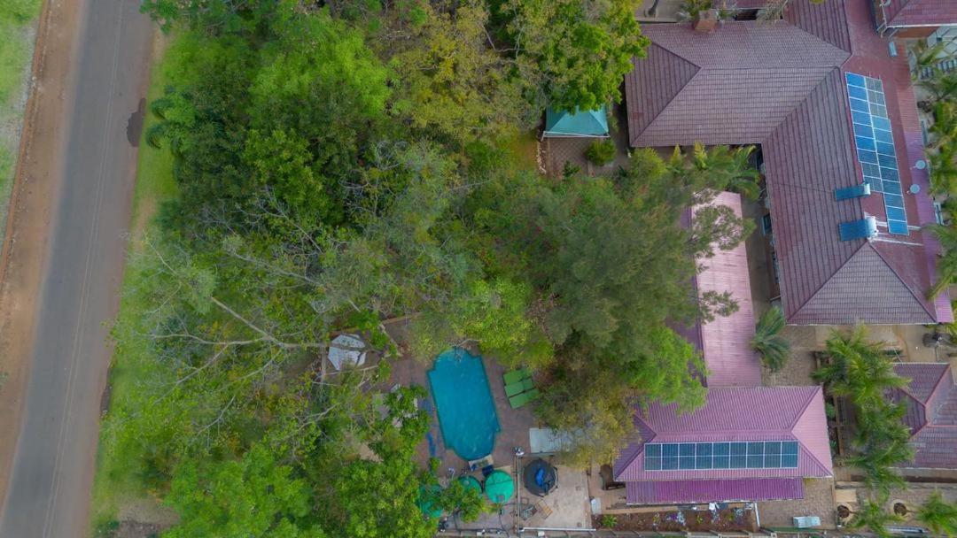 Palm Leaf – Hazeldene Kwekwe with pool - 2333