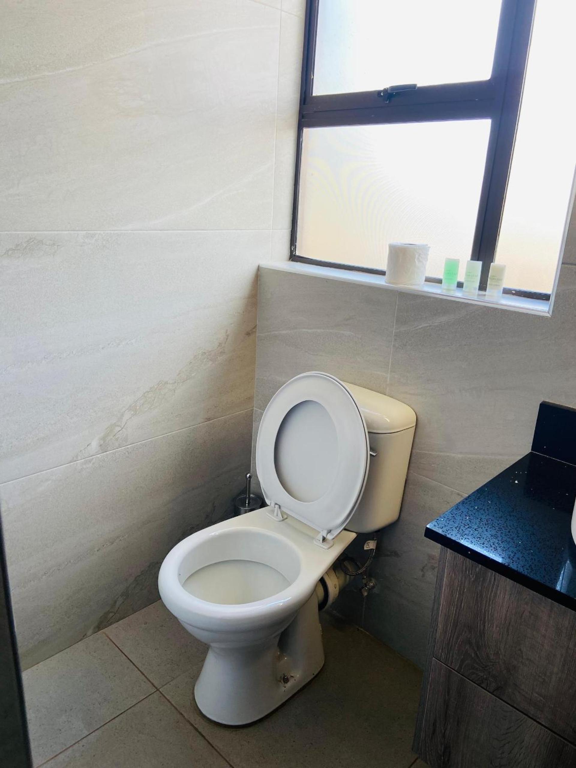 Palm Leaf – Hazeldene Kwekwe with pool - 2333