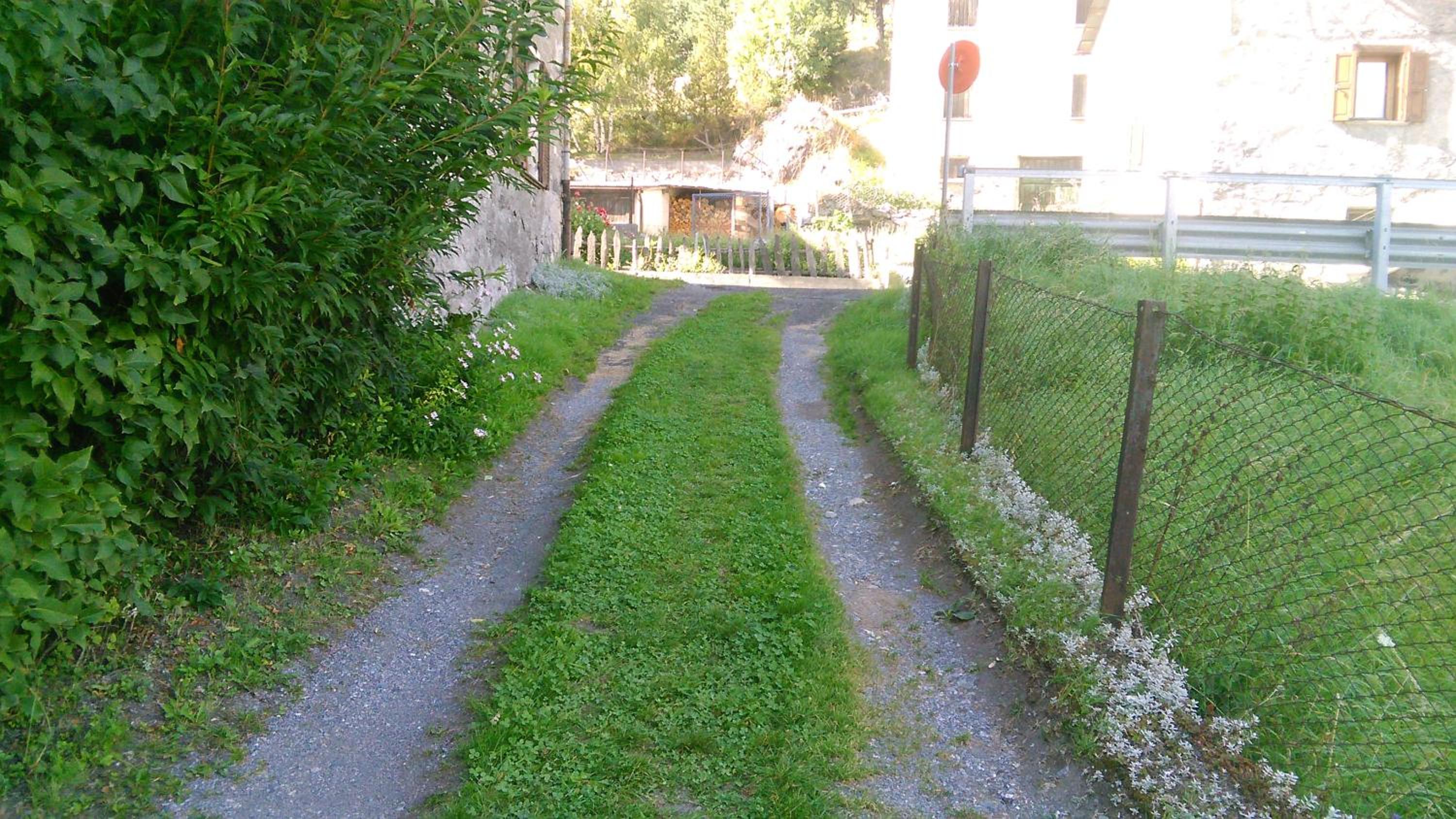Photo 6