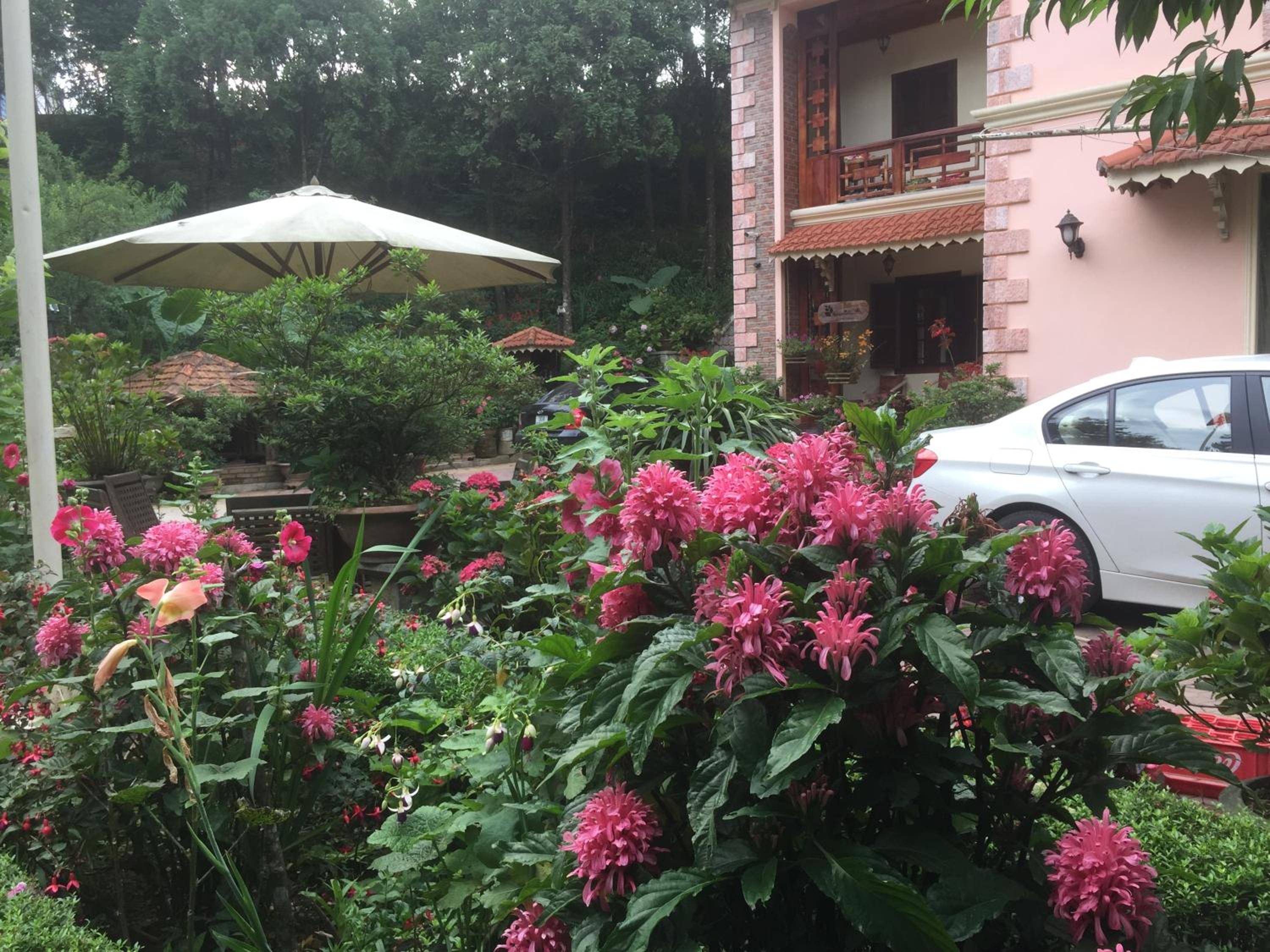 Sapa Garden Bed and Breakfast
