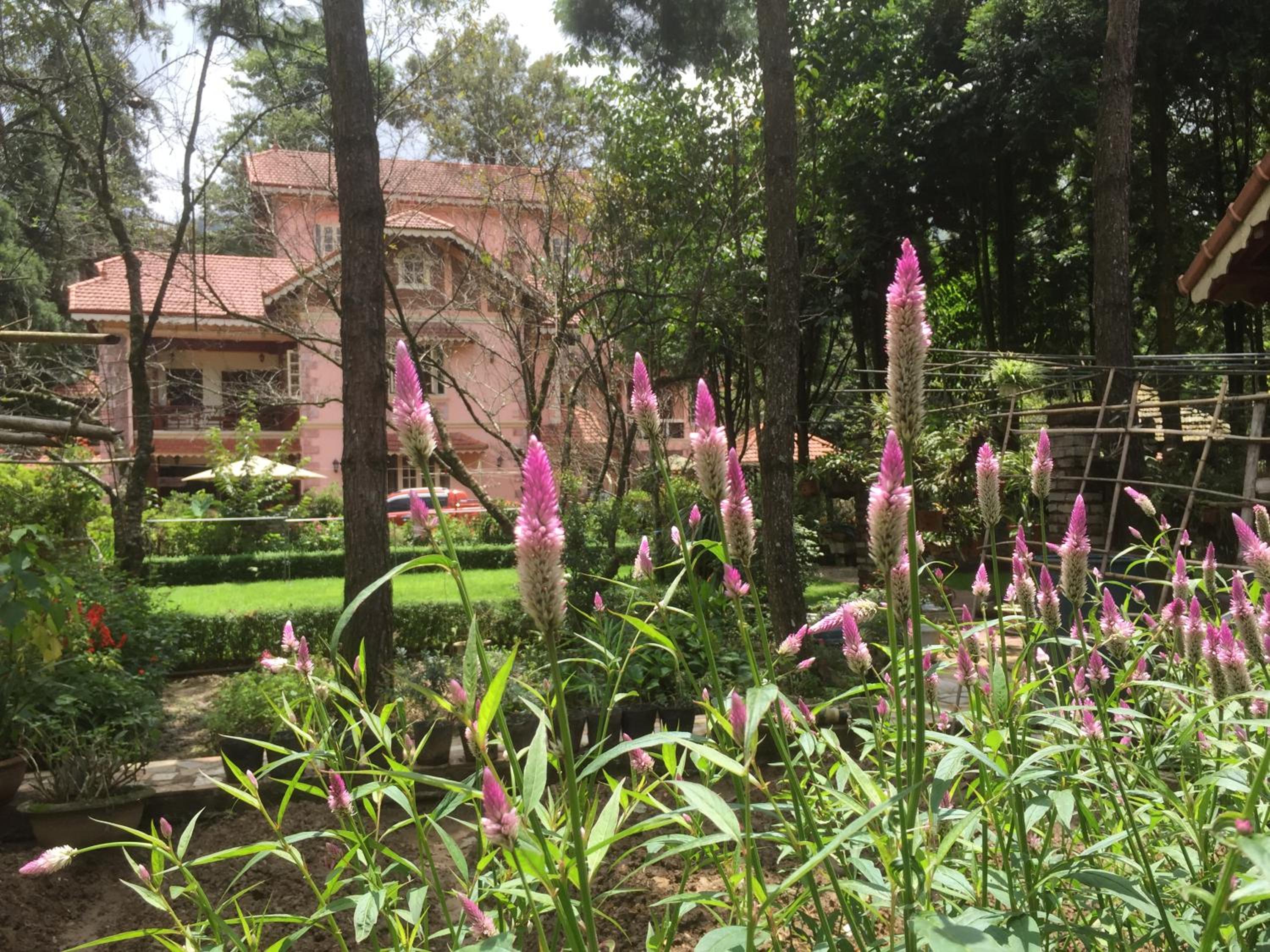 Sapa Garden Bed and Breakfast