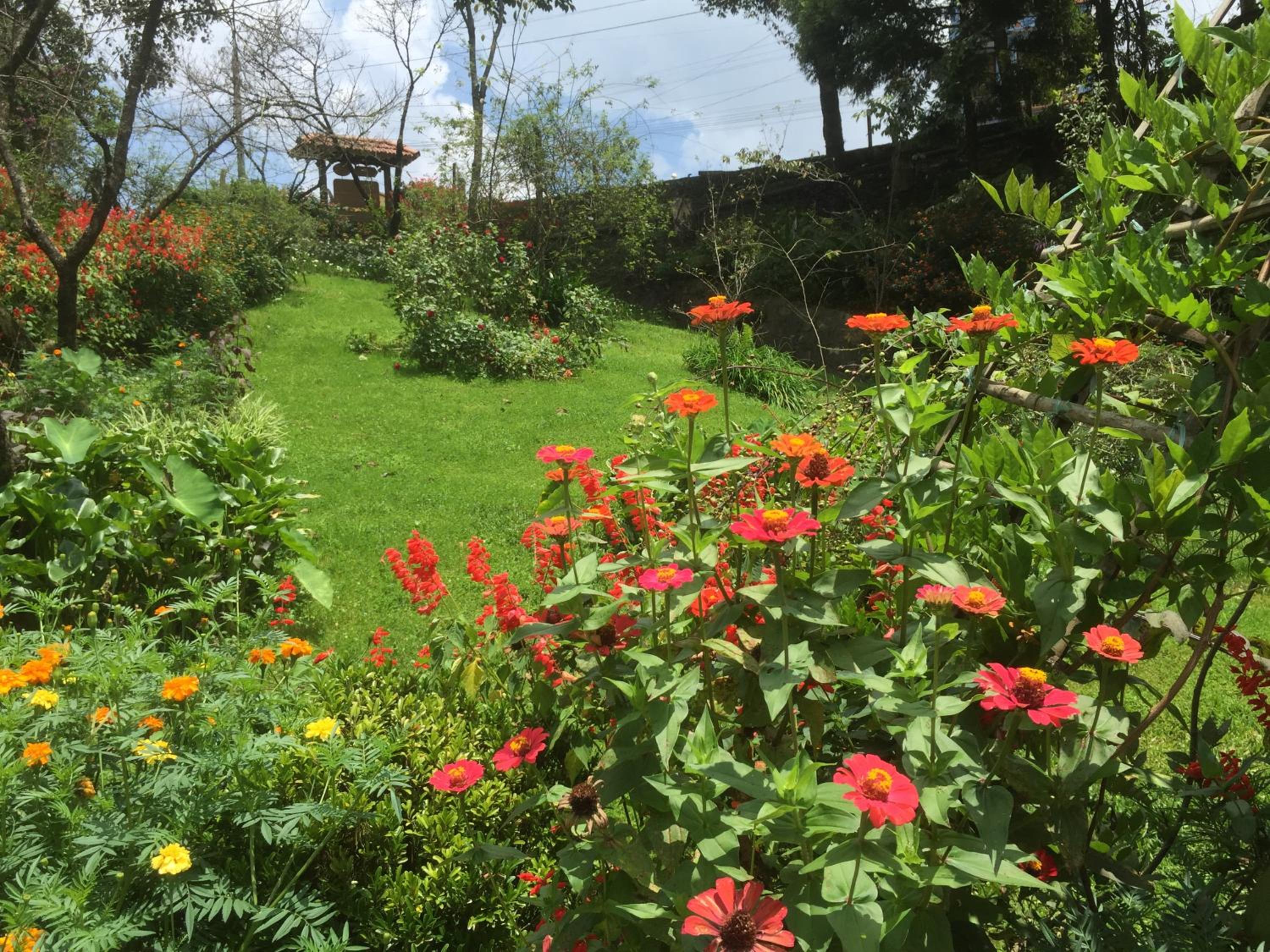 Sapa Garden Bed and Breakfast