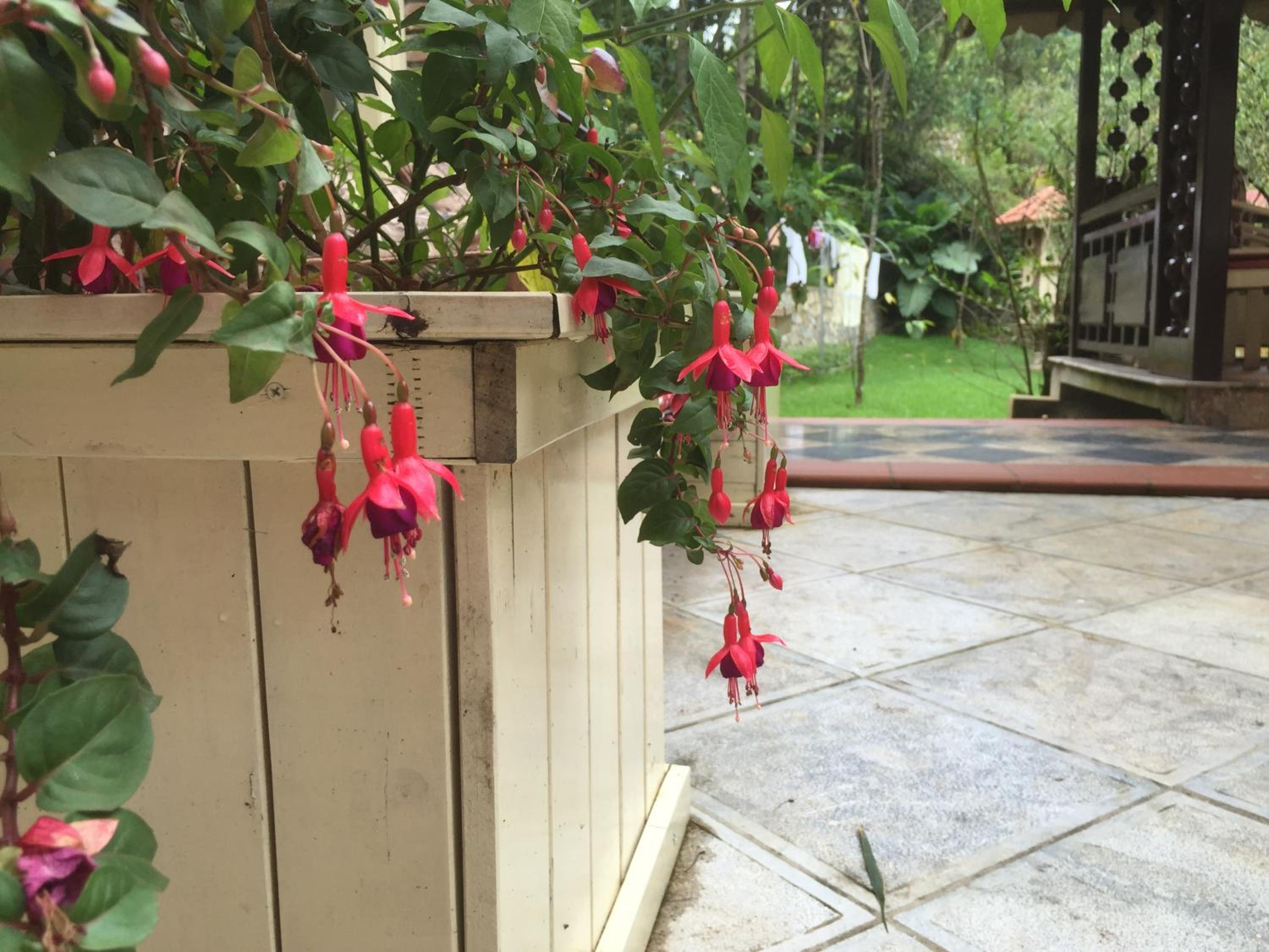Sapa Garden Bed and Breakfast
