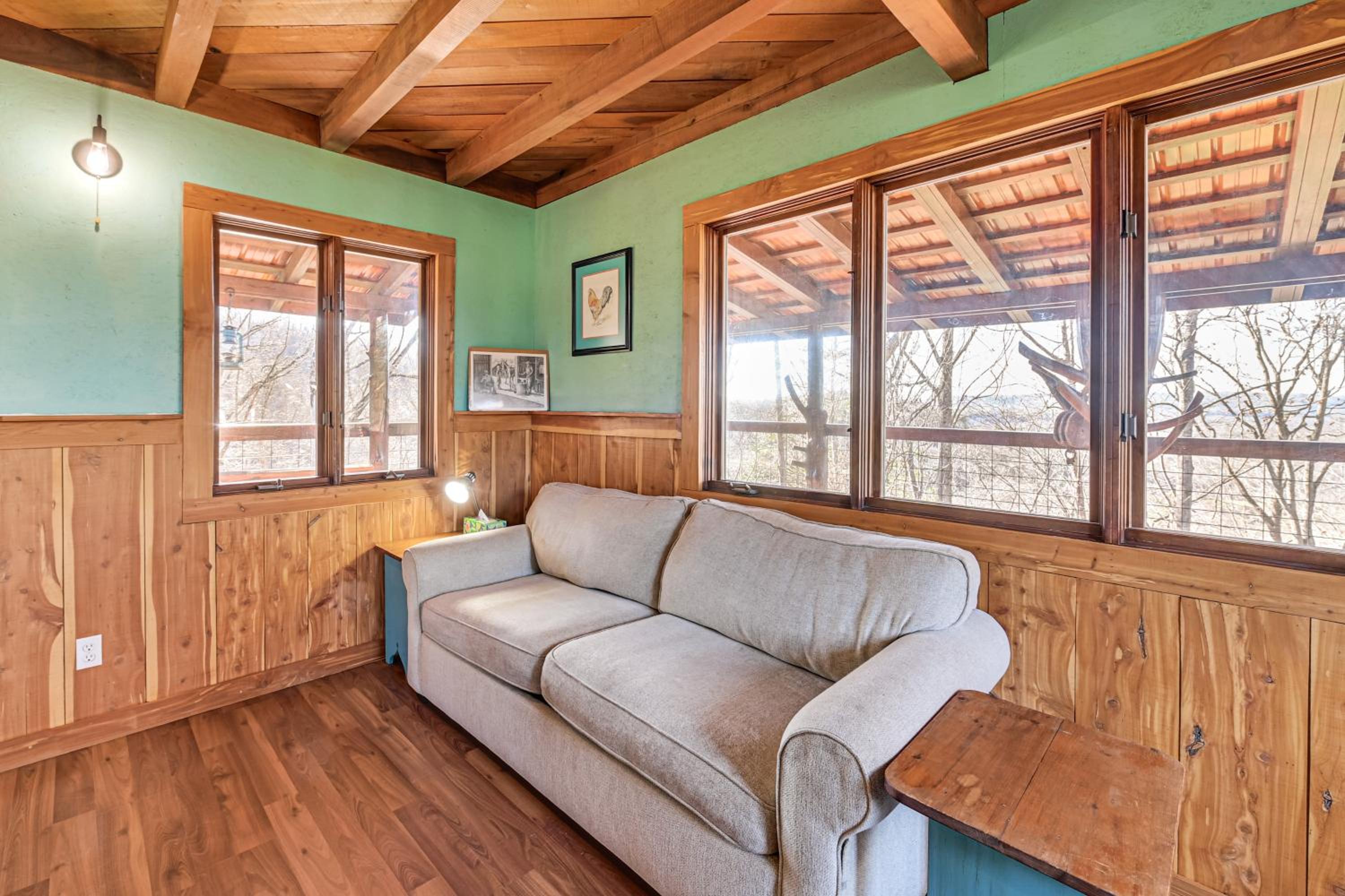 Peaceful Mountain Cabin with Views in Williamsburg