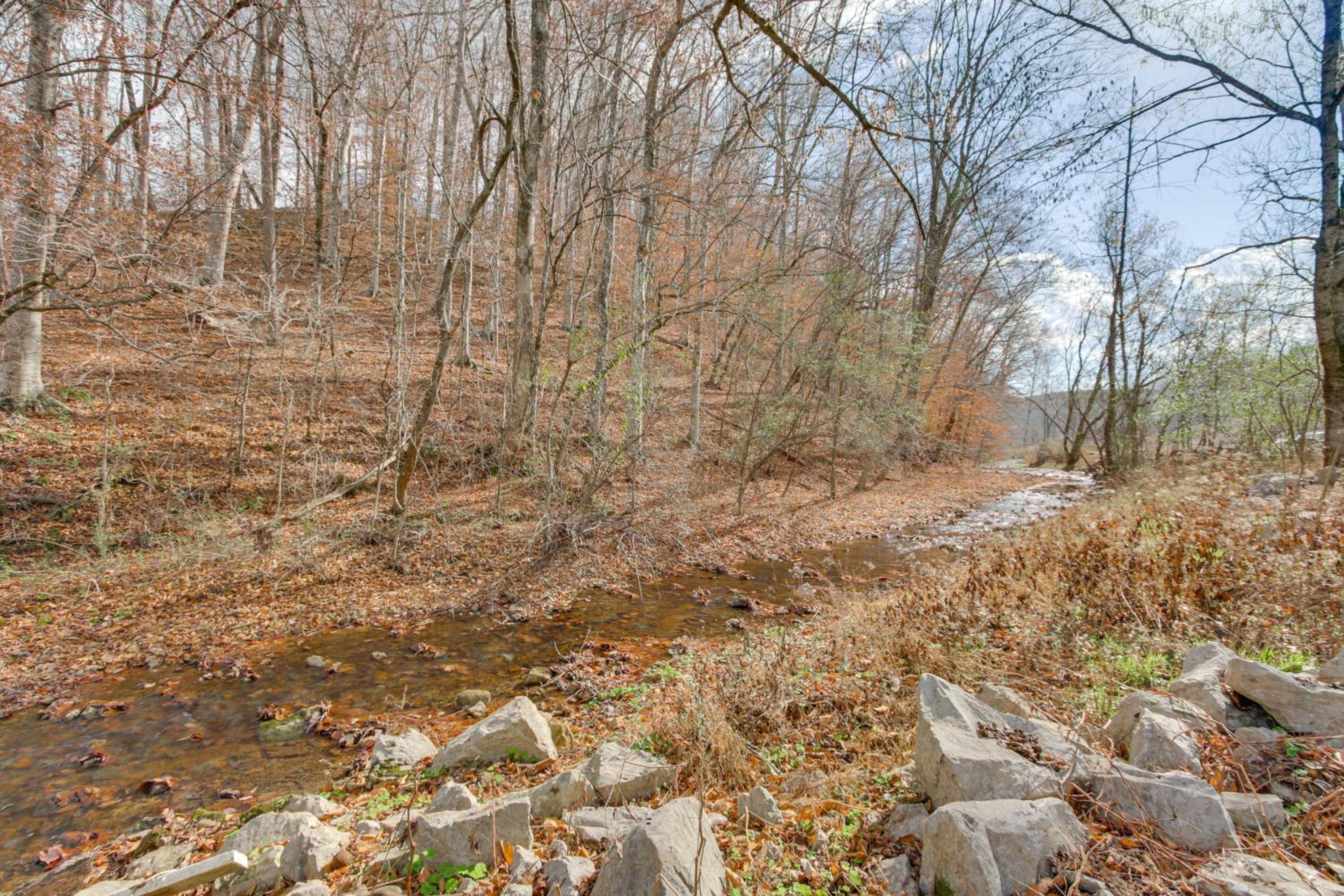 Secluded Getaway on 40 Acres in Lawrenceburg!