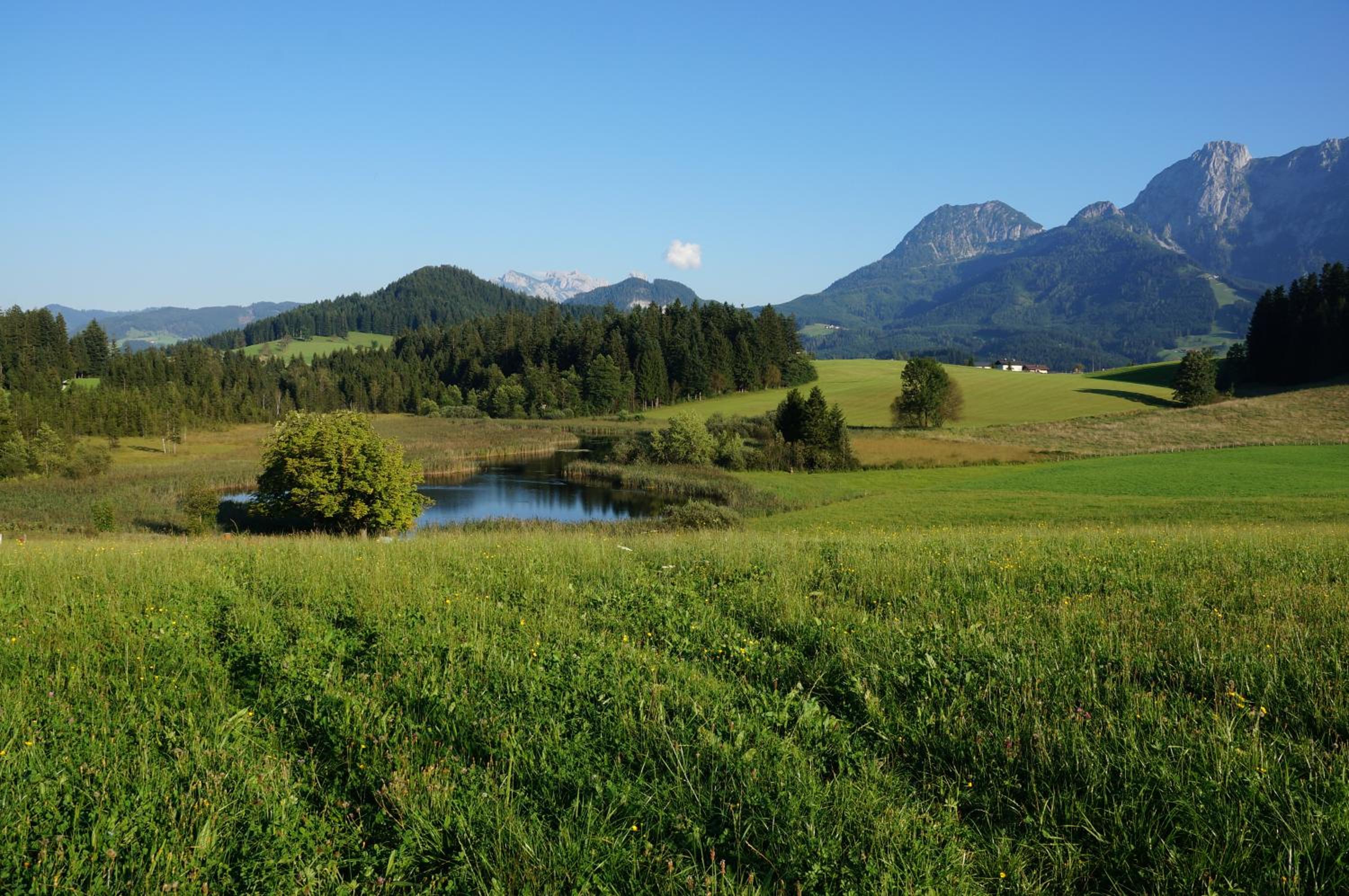 Ferienwohnungen Rettenbacher