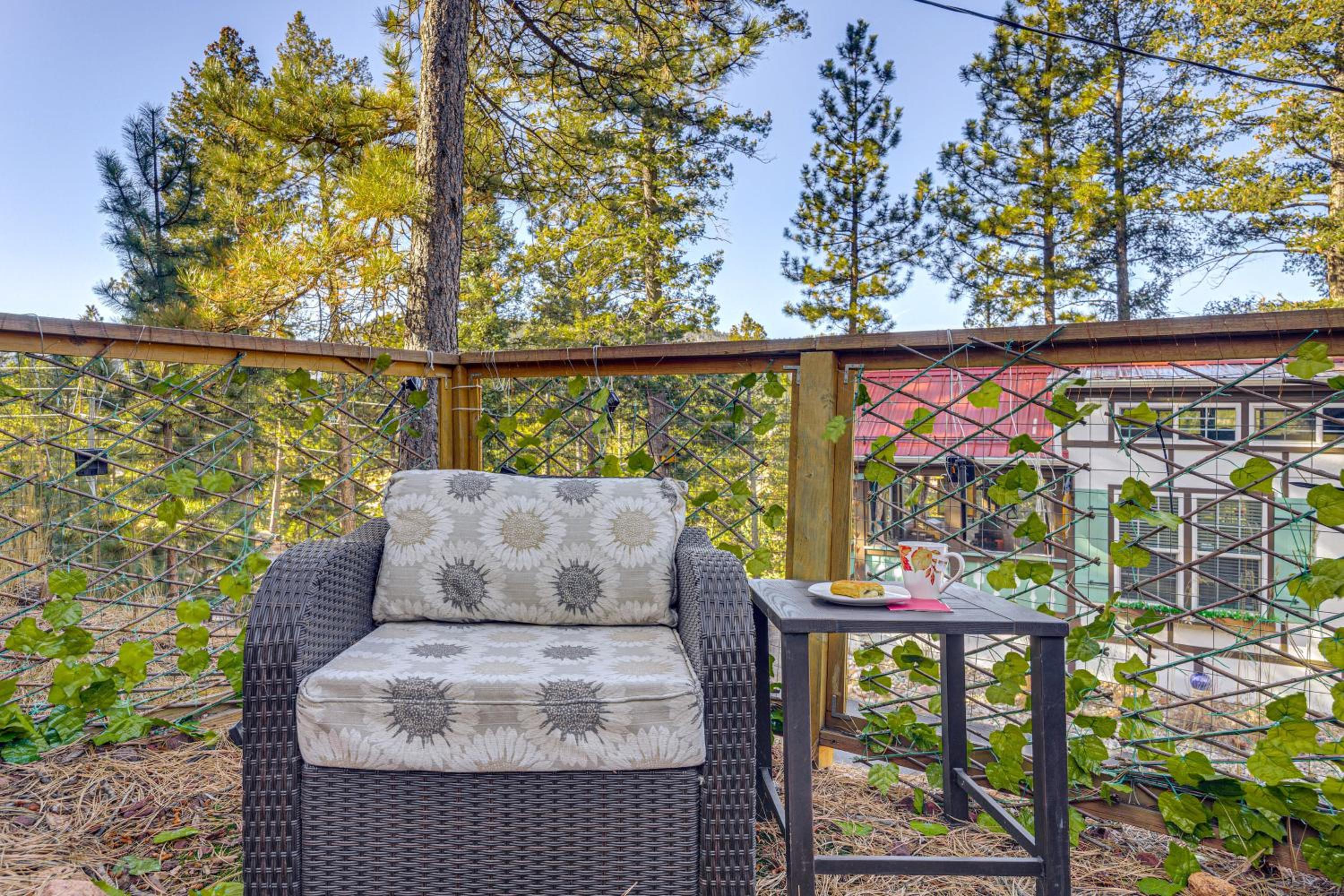 Private Hot Tub and Deck Woodland Park Tiny Home!