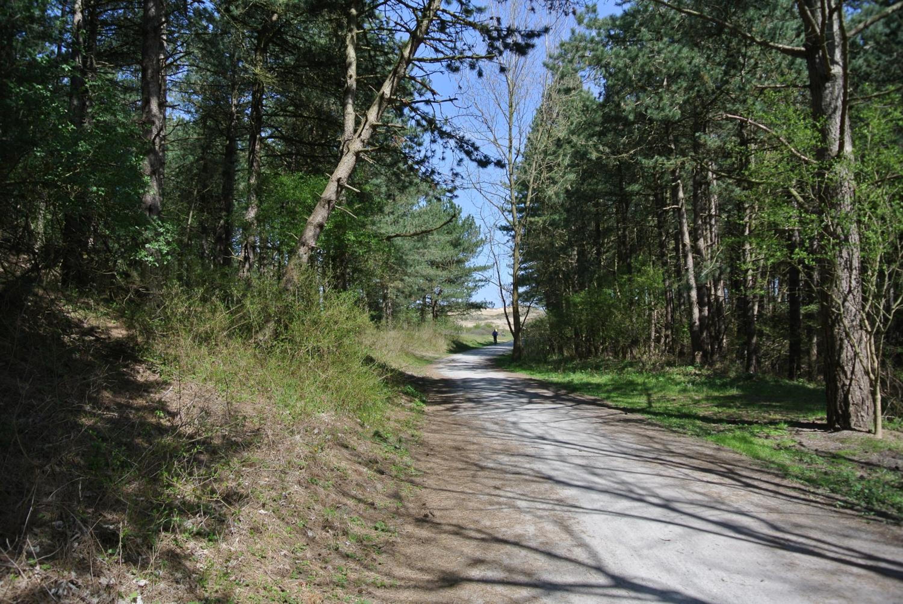 Photo 43