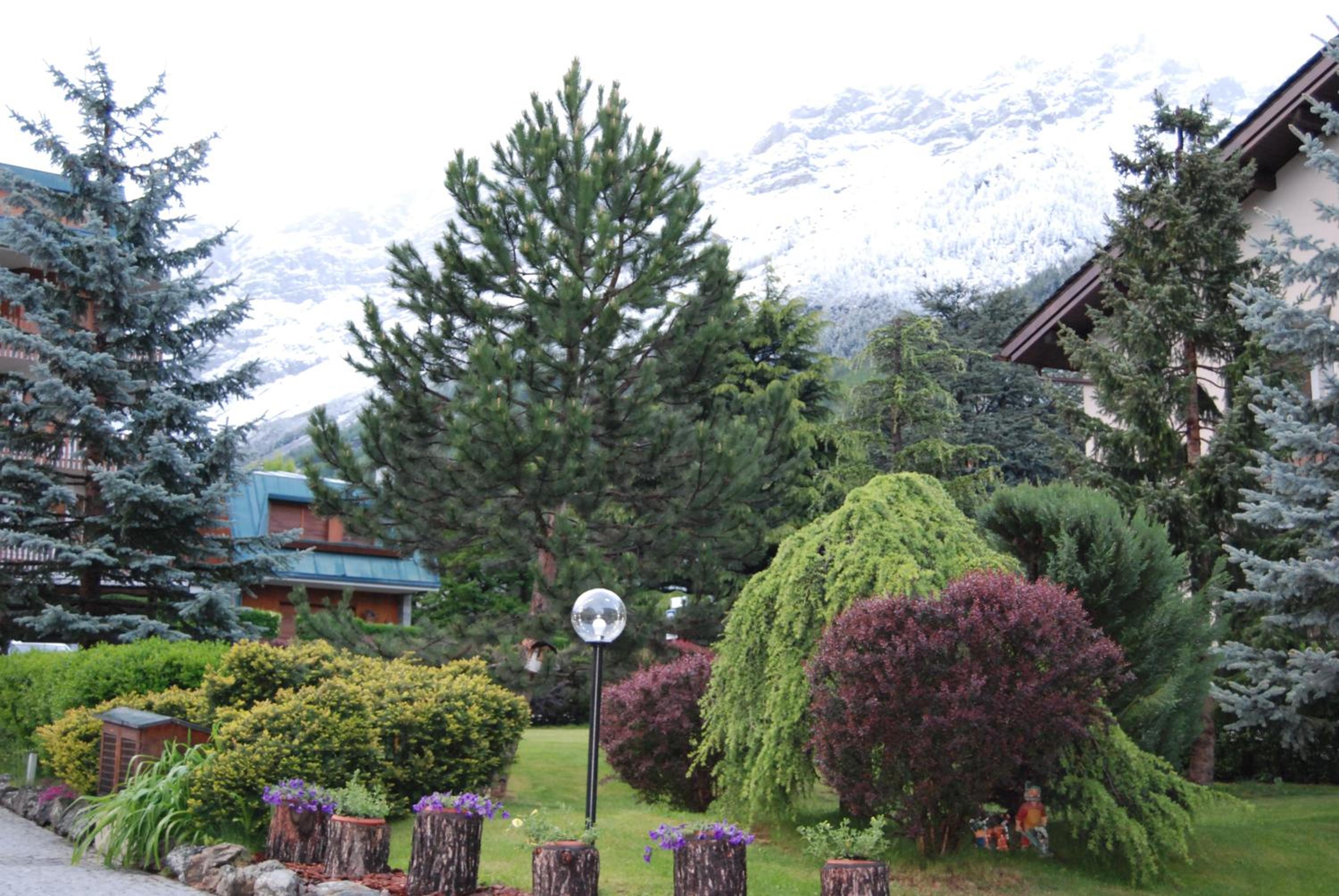 Chalet Gardenia