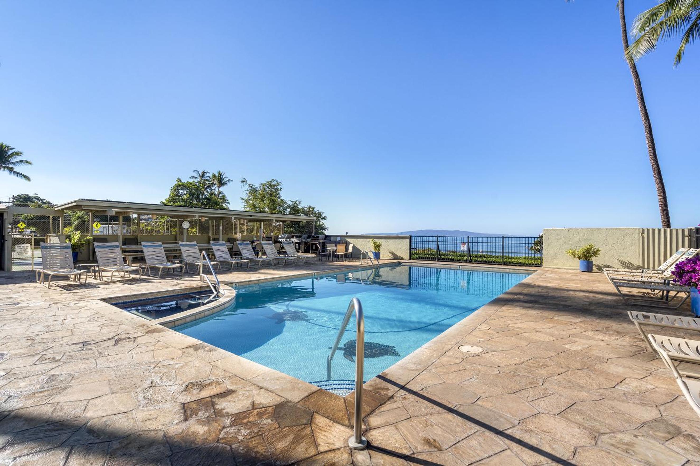Shores of Maui 215 - Dramatic Ocean Views, Steps to the Beach, Renovated, AC!
