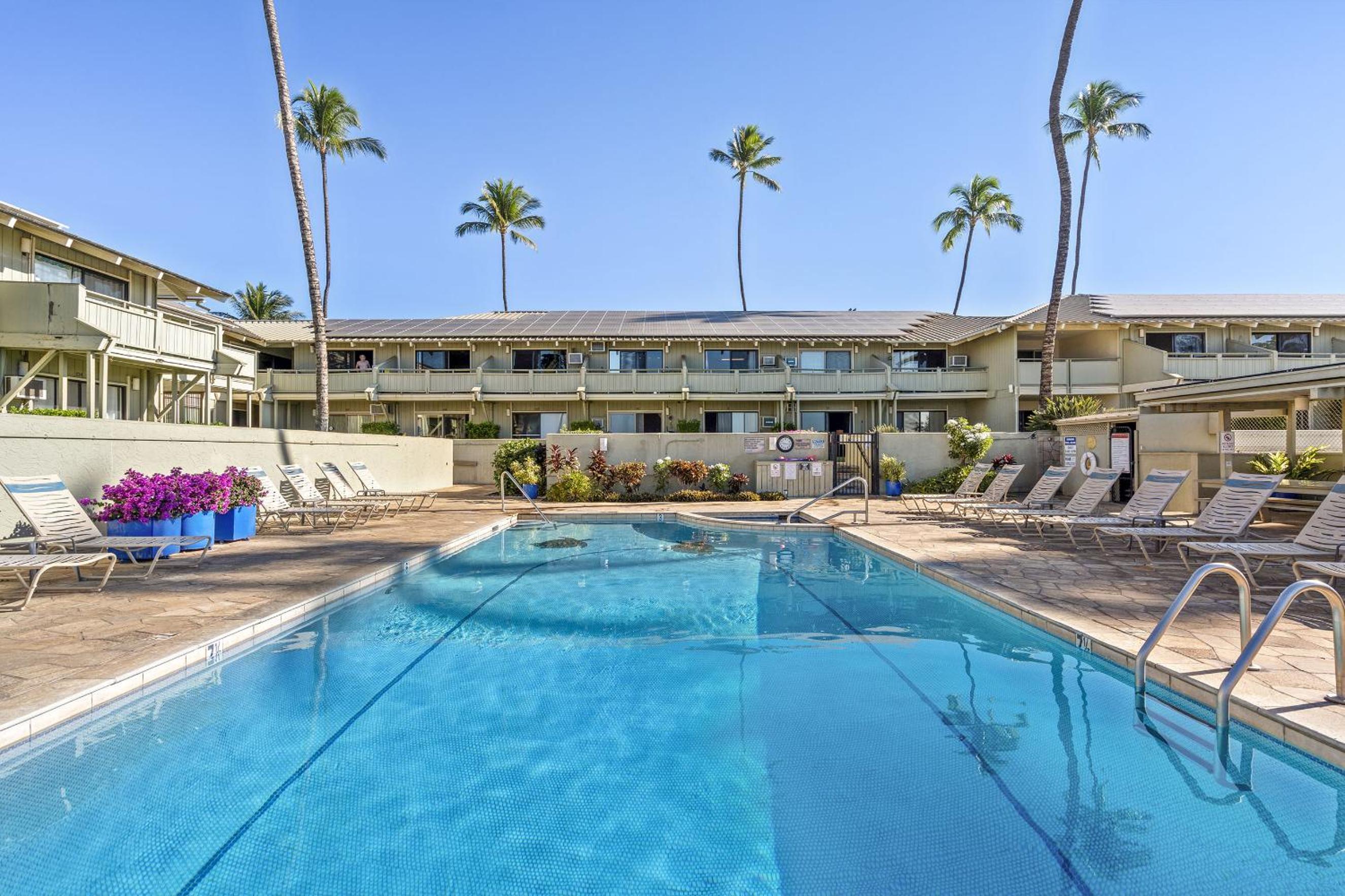 Shores of Maui 215 - Dramatic Ocean Views, Steps to the Beach, Renovated, AC!