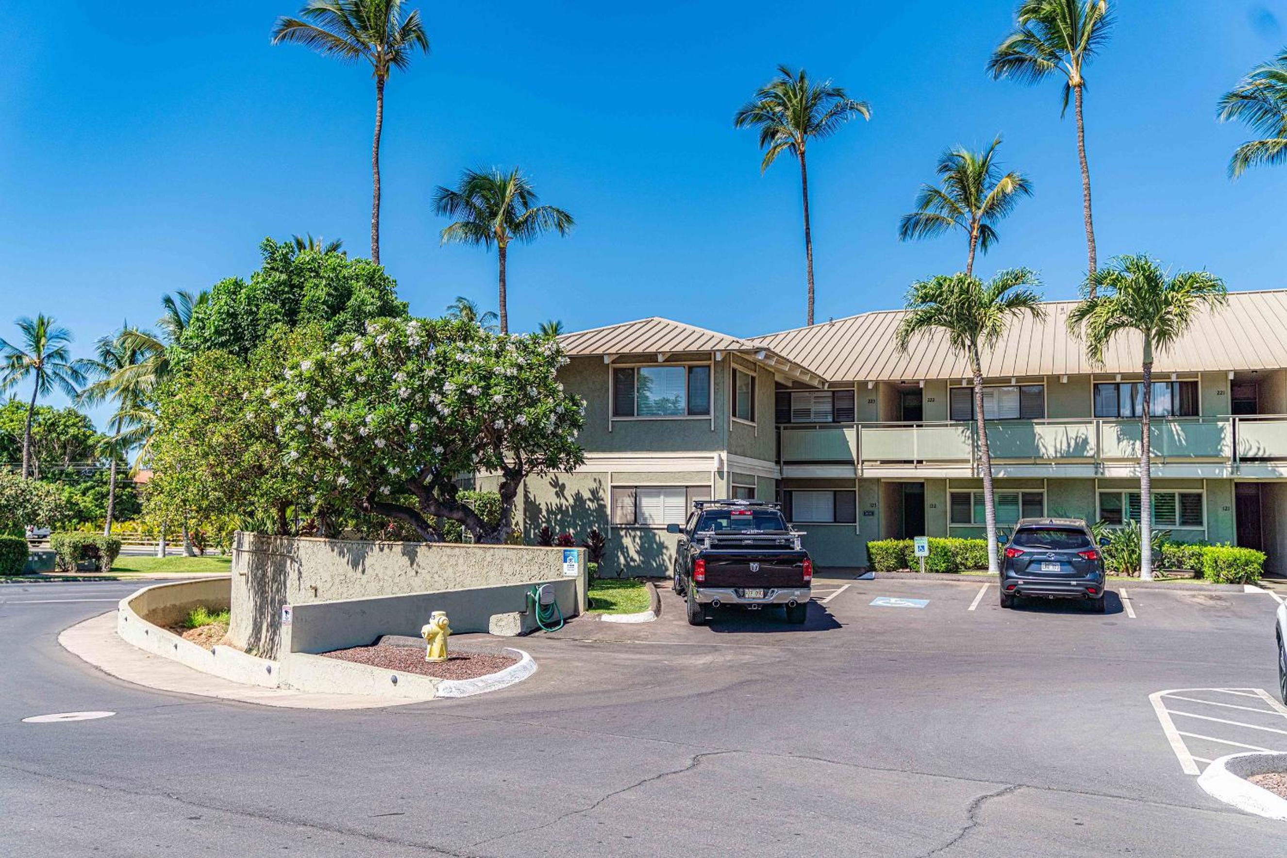 Shores of Maui 215 - Dramatic Ocean Views, Steps to the Beach, Renovated, AC!