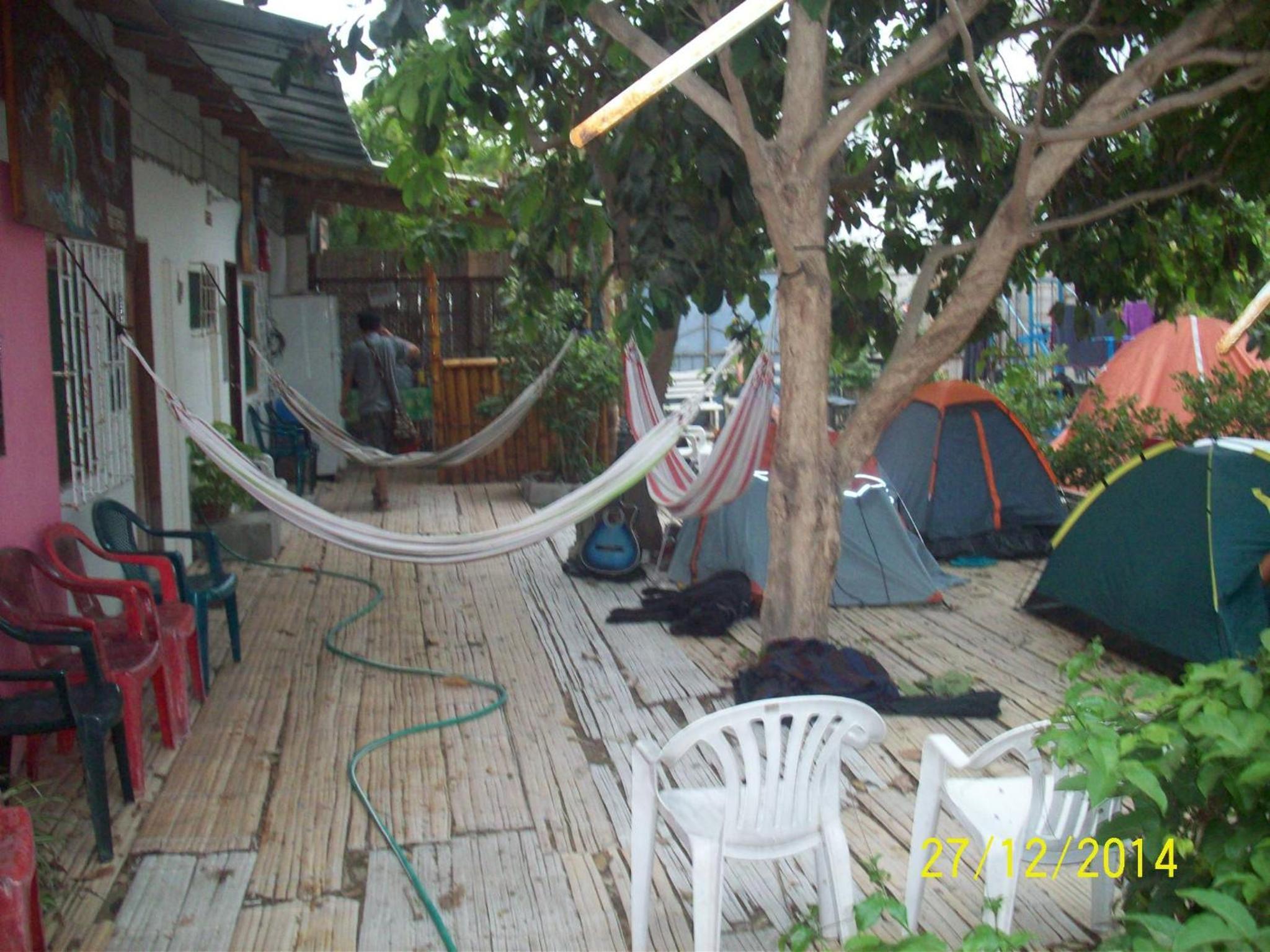 Photo 48
