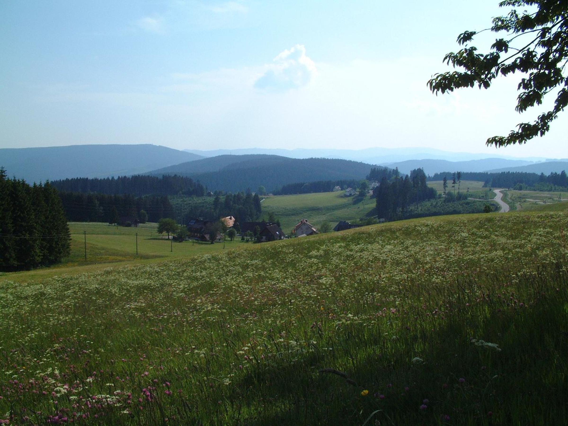 Photo 29