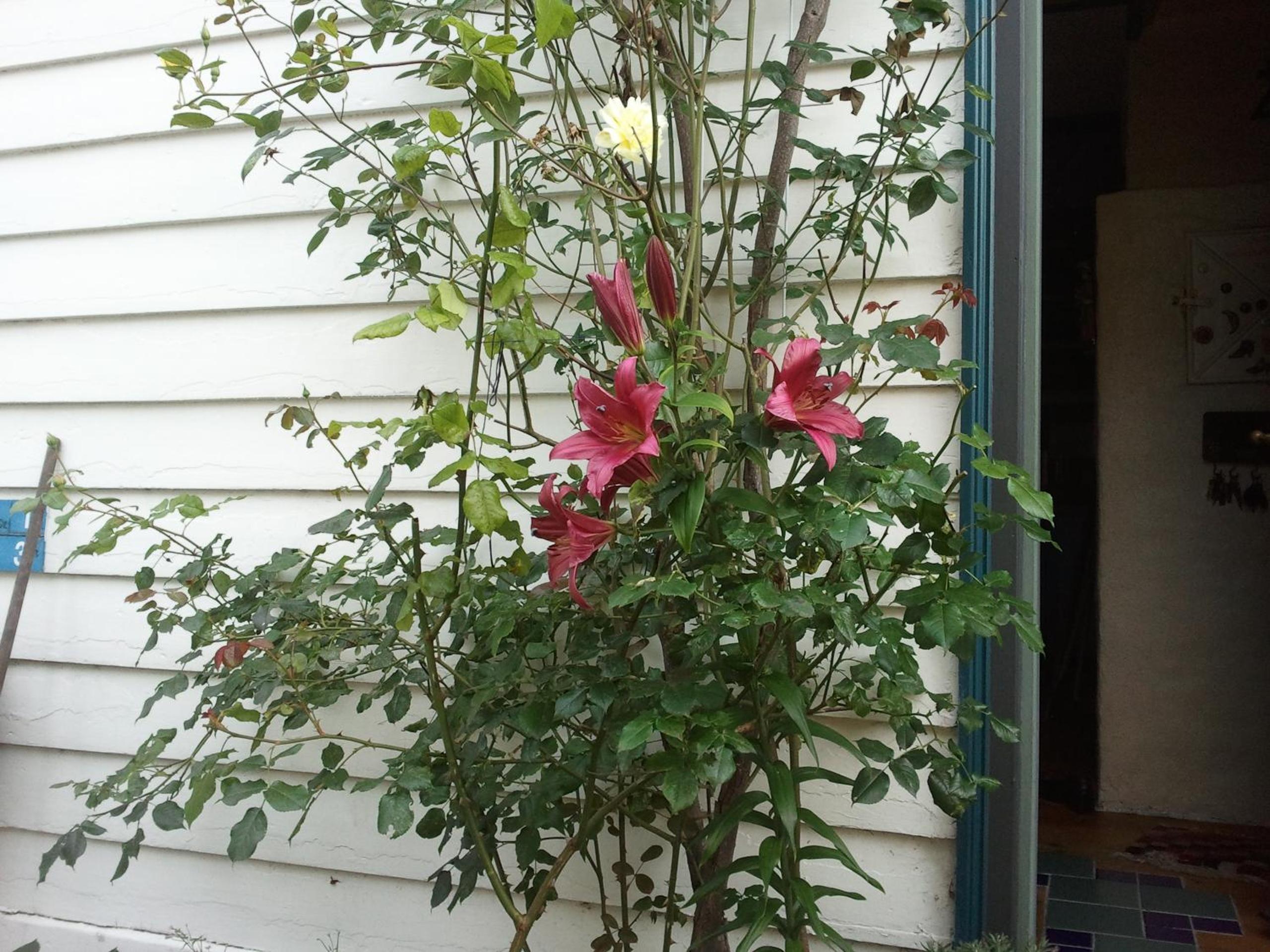Annehelenes B&B view 4