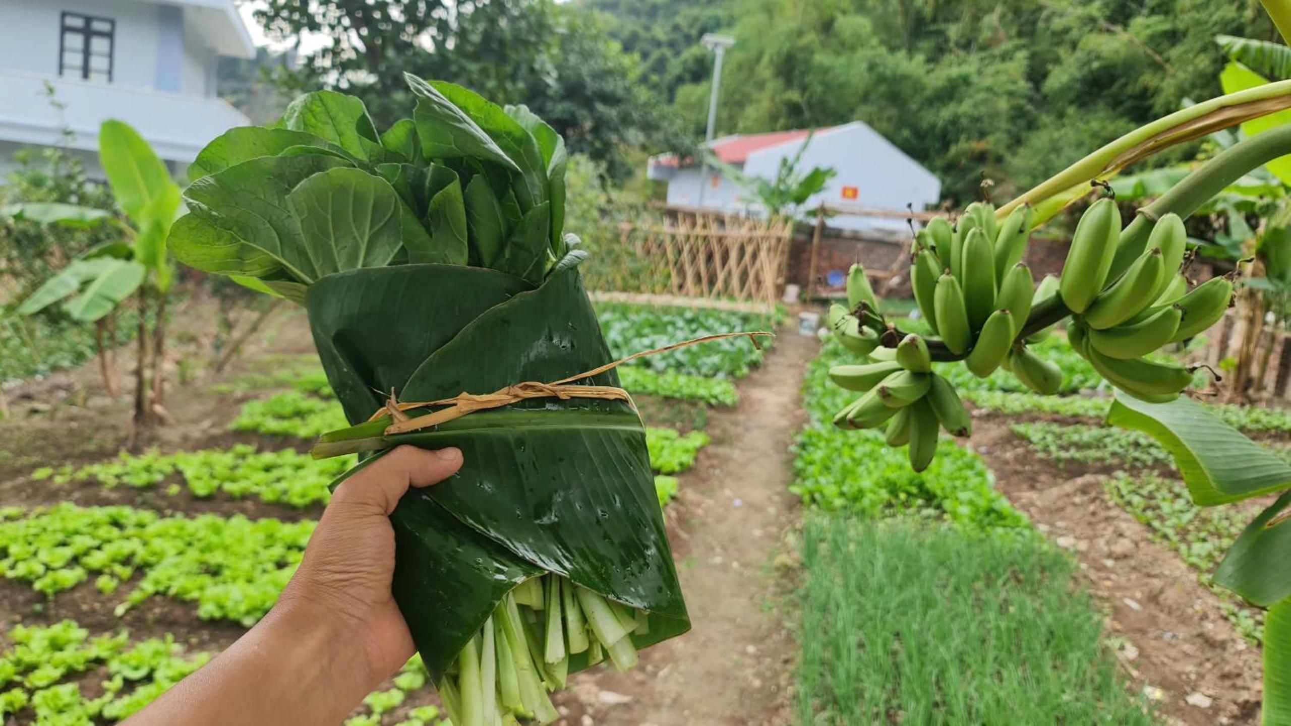 ANN GARDEN RETREAT by Secret Garden Cat Ba