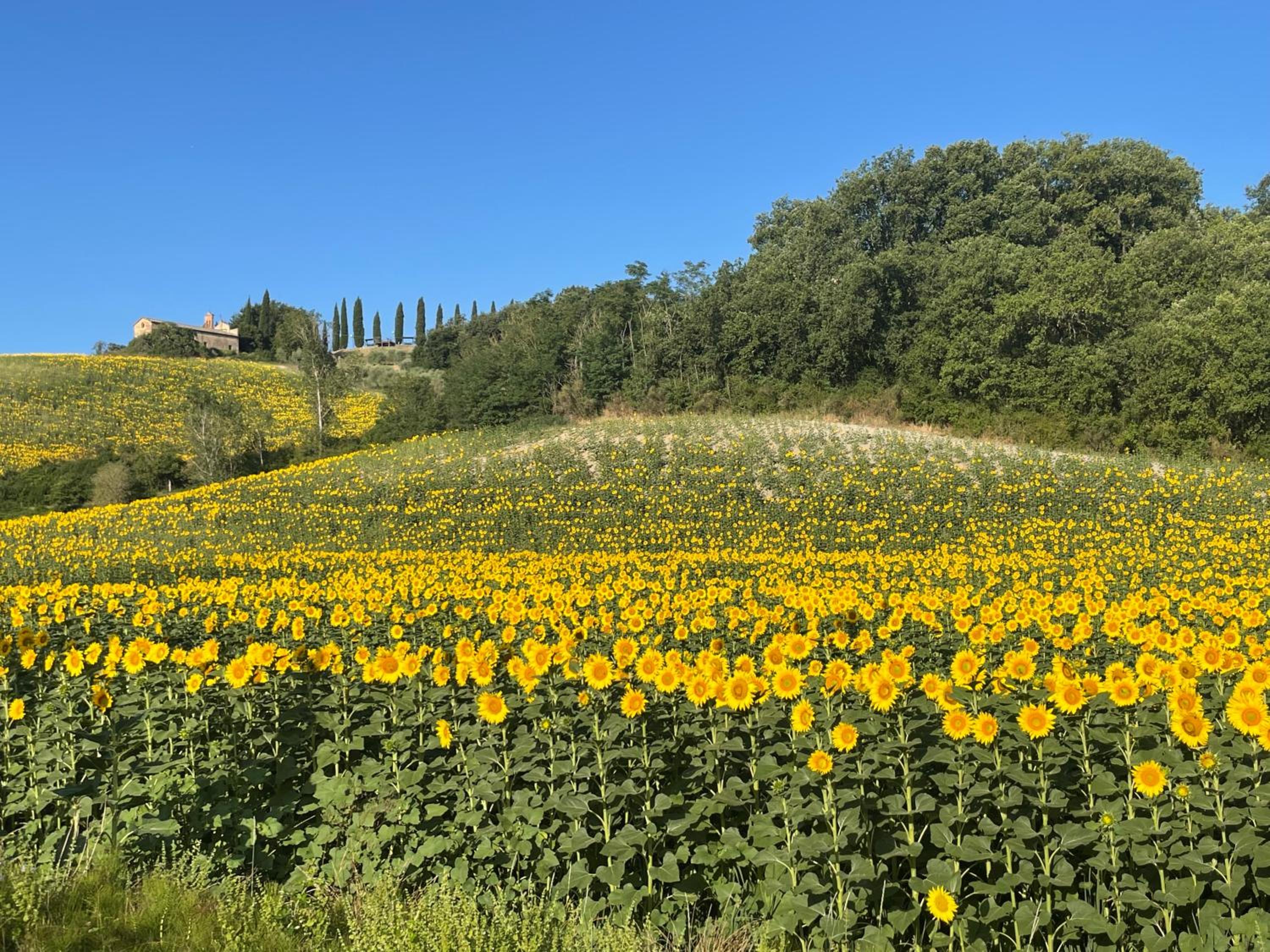 Agriturismo La Frattina