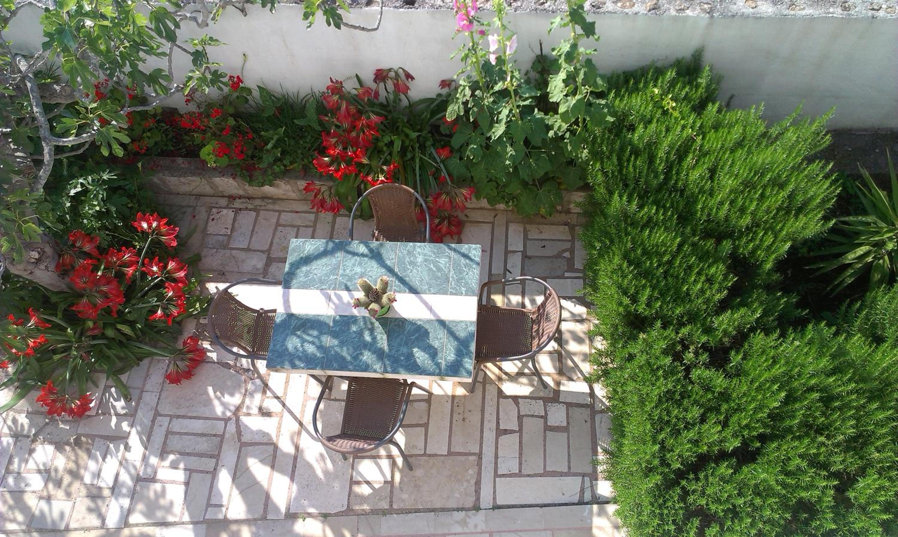 Photo 46