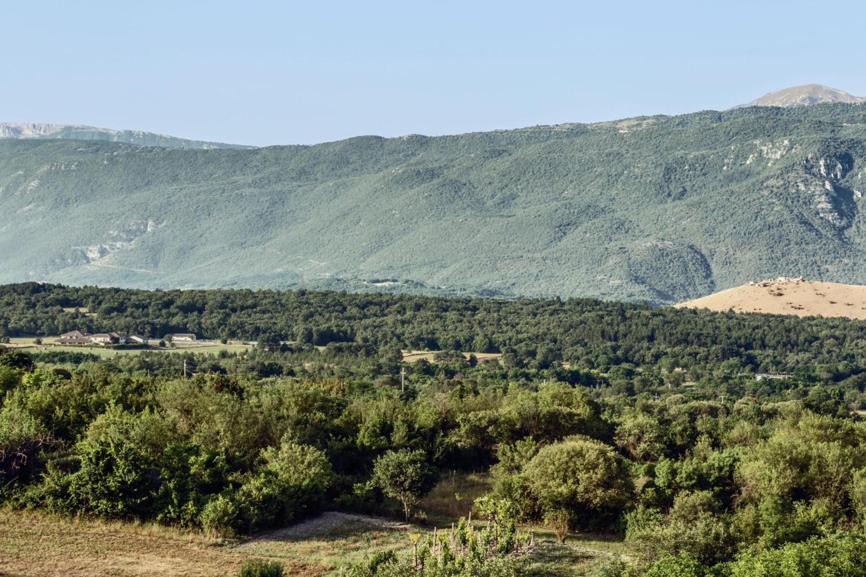 Agriturismo Statale 17