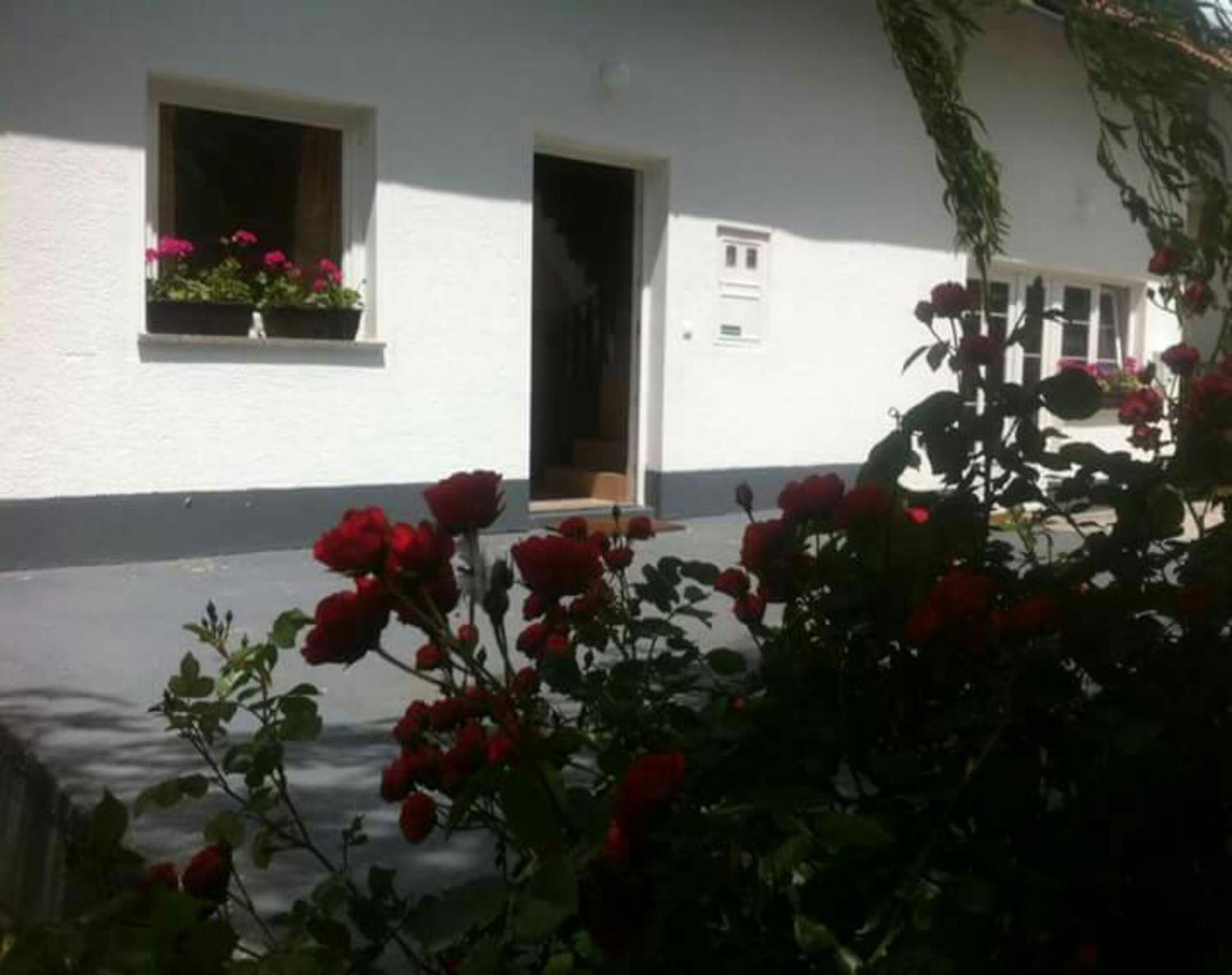 Photo 49