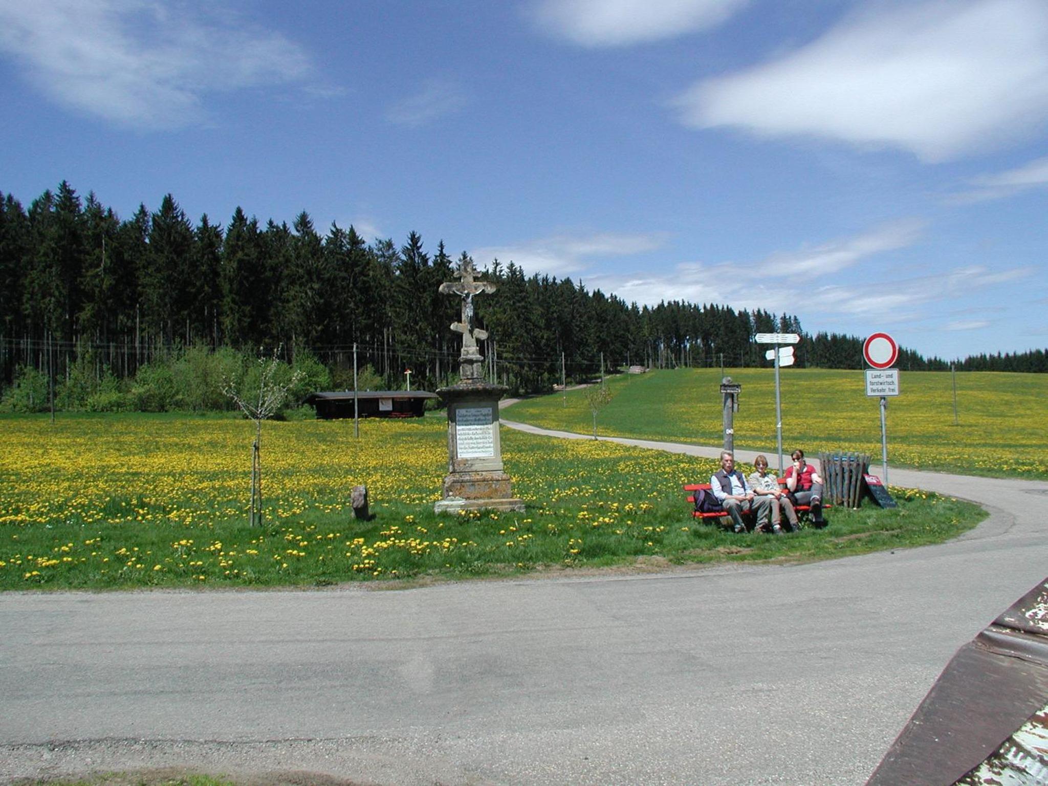 Photo 45