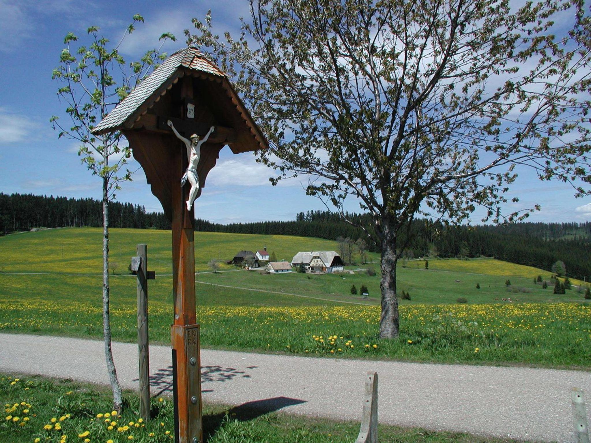 Photo 28