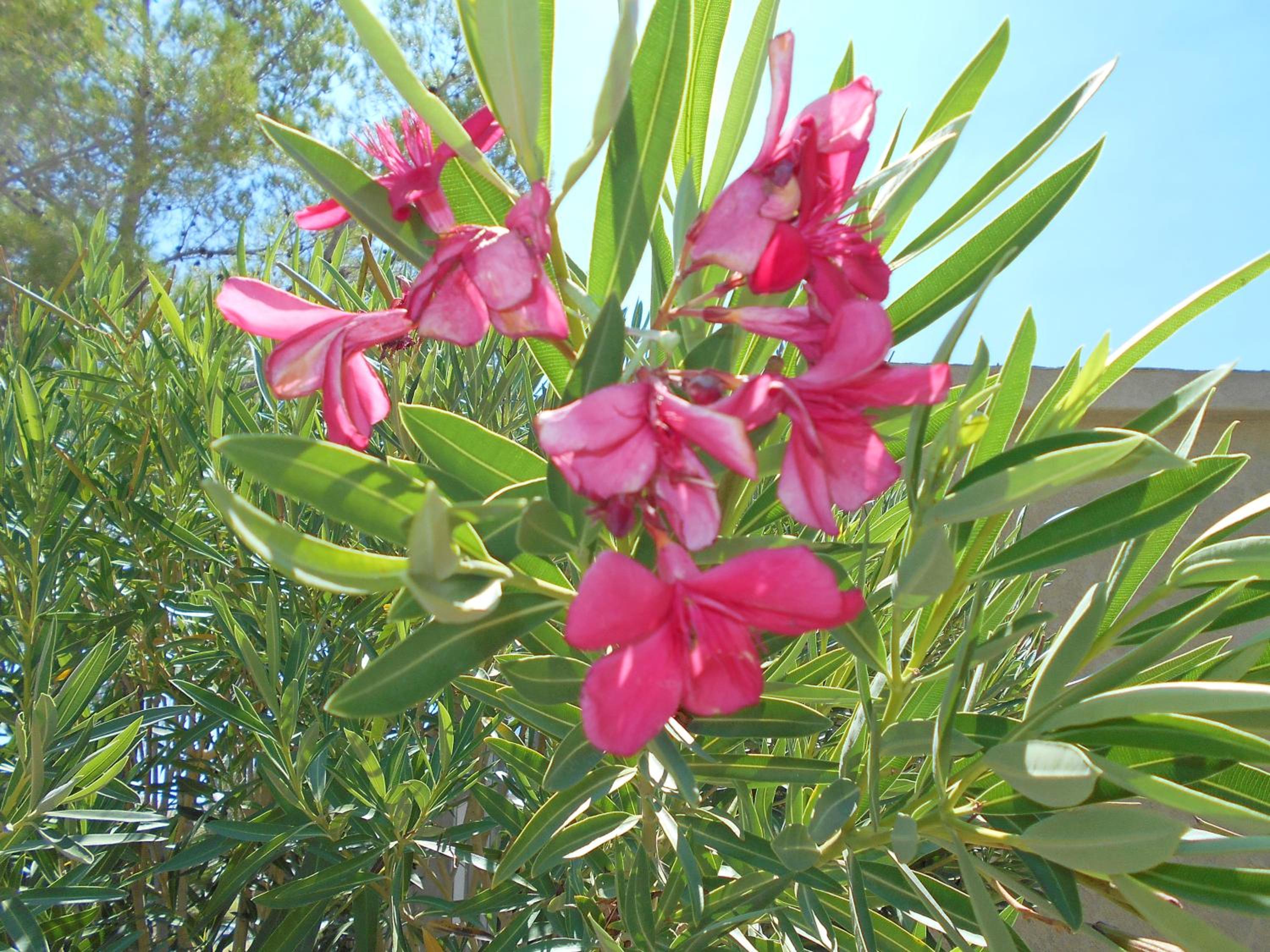 Photo 28