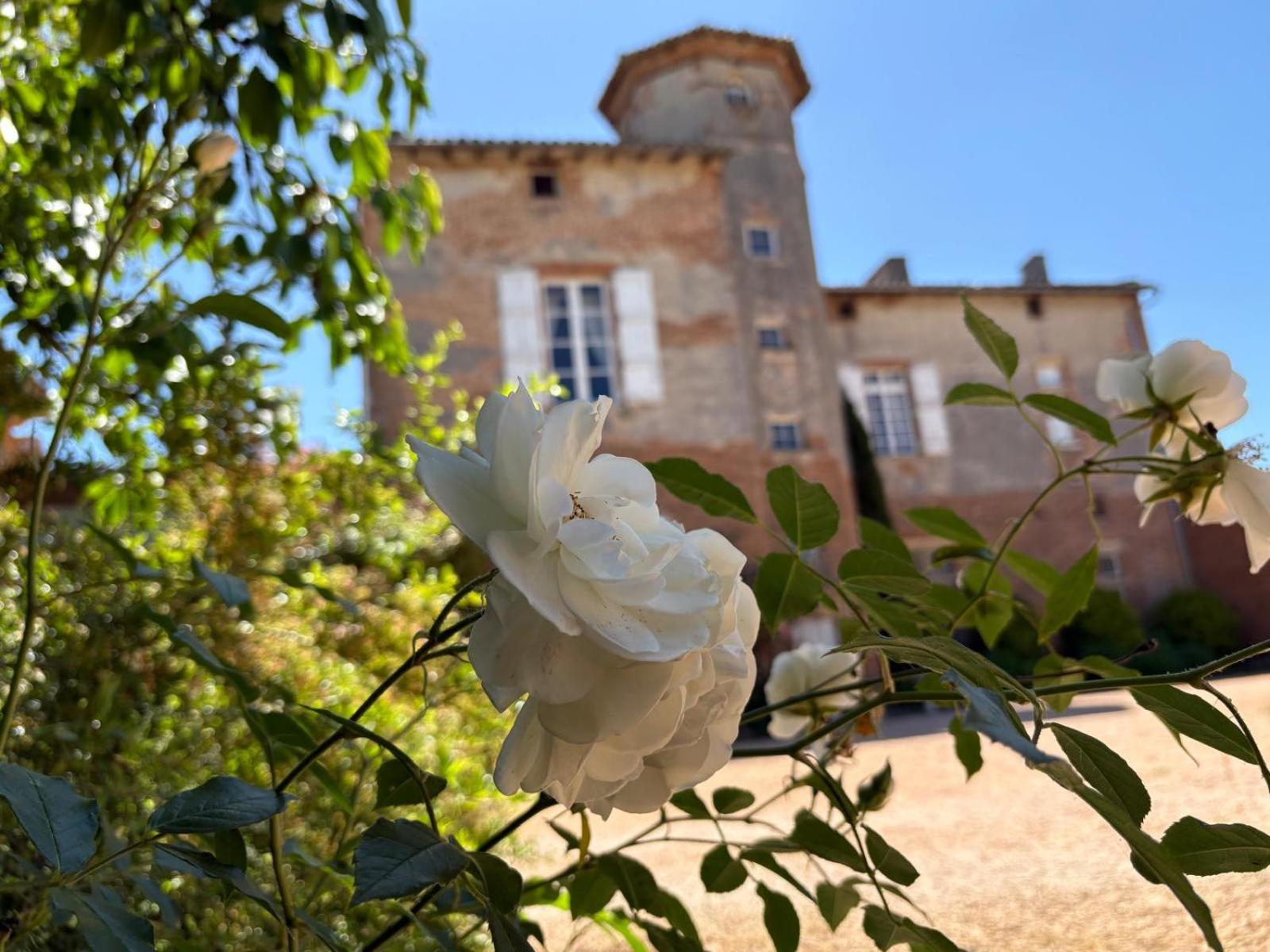 Château de Thégra, photo 19