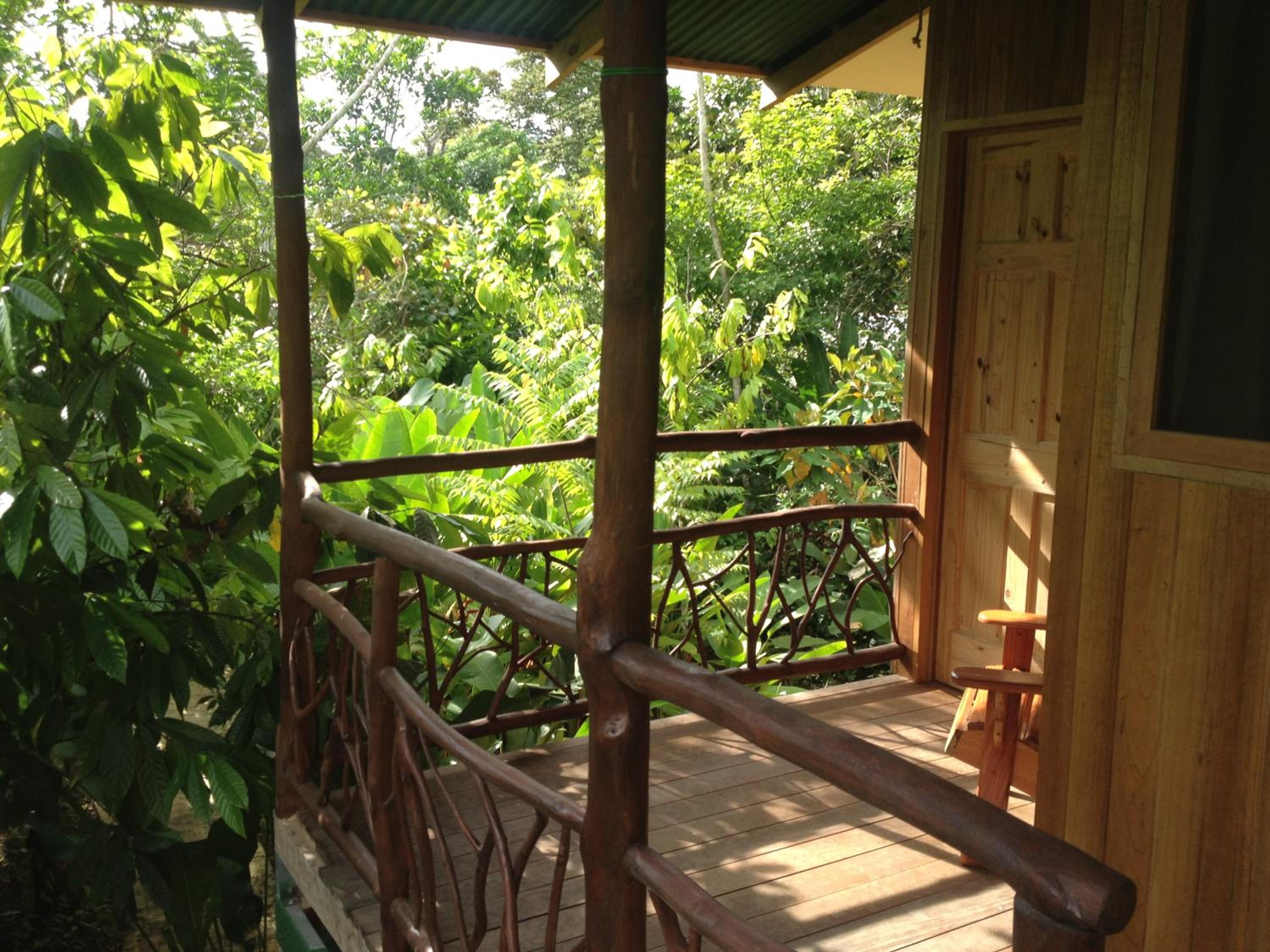 Photo 11