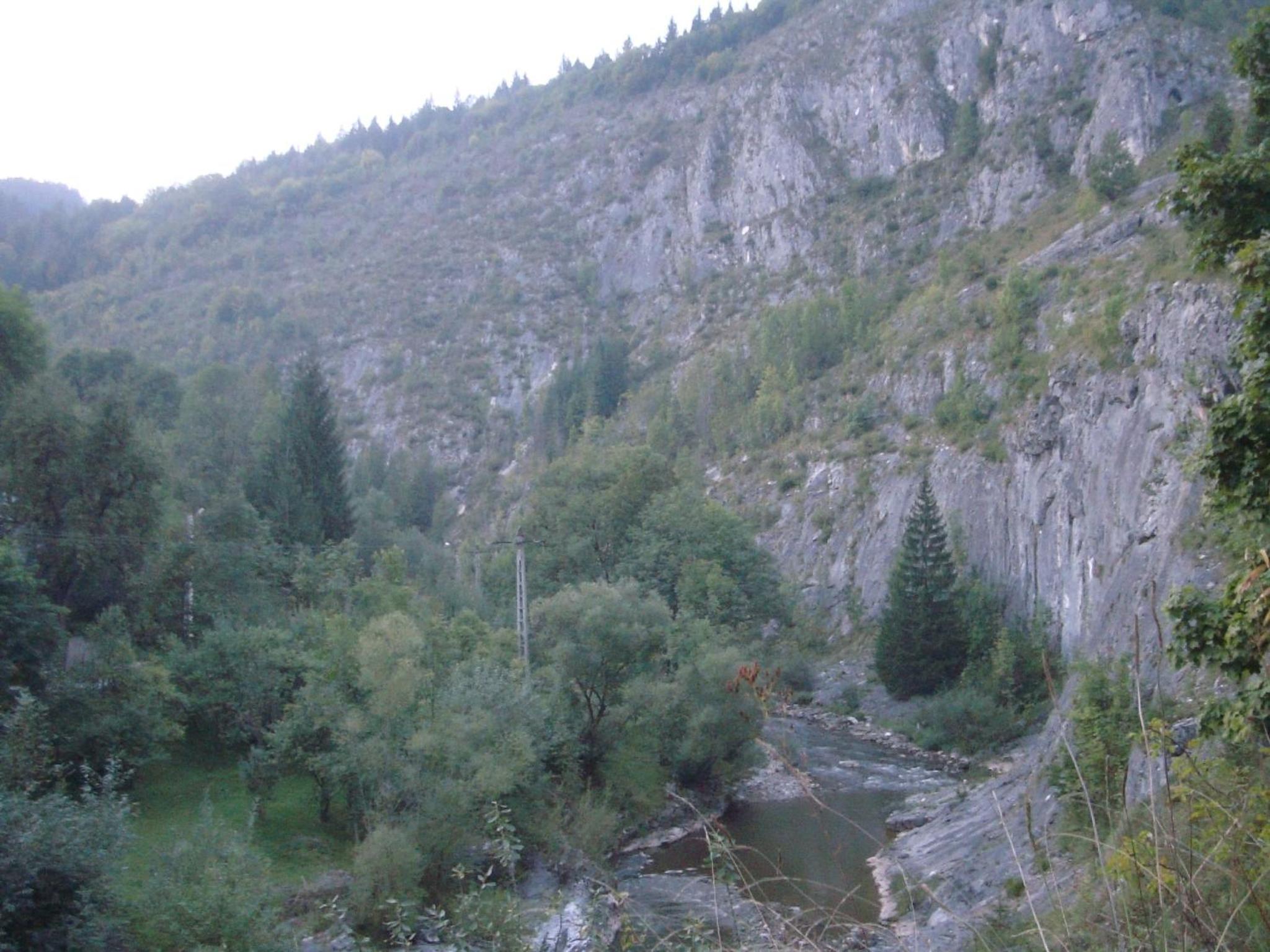 Photo 57