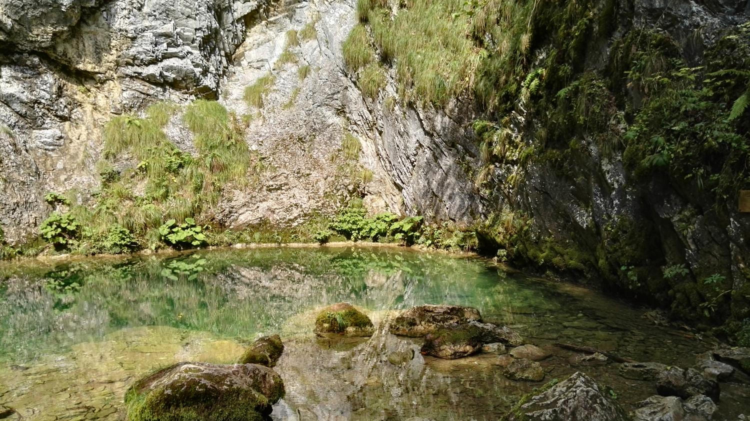 Photo 44