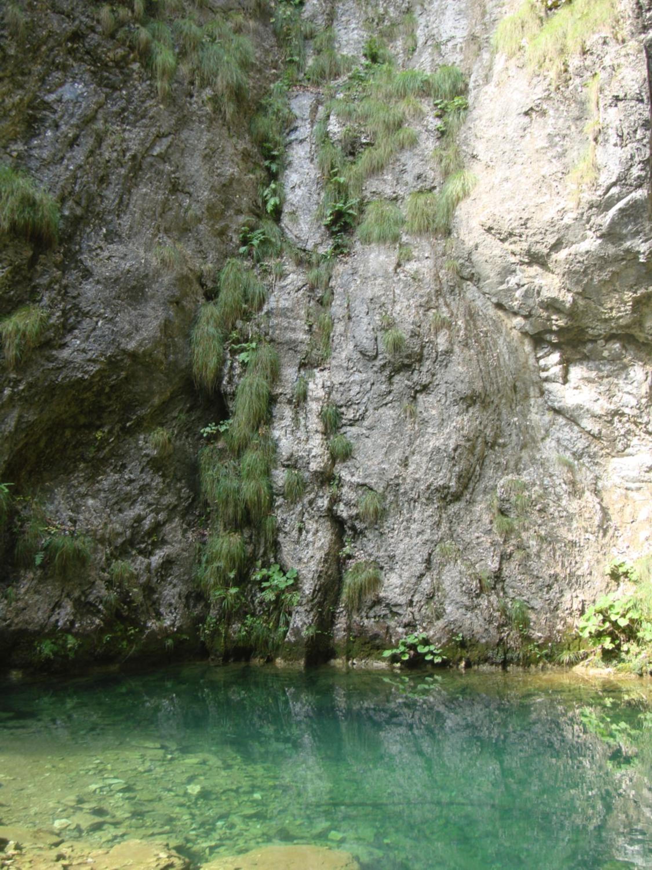 Photo 45