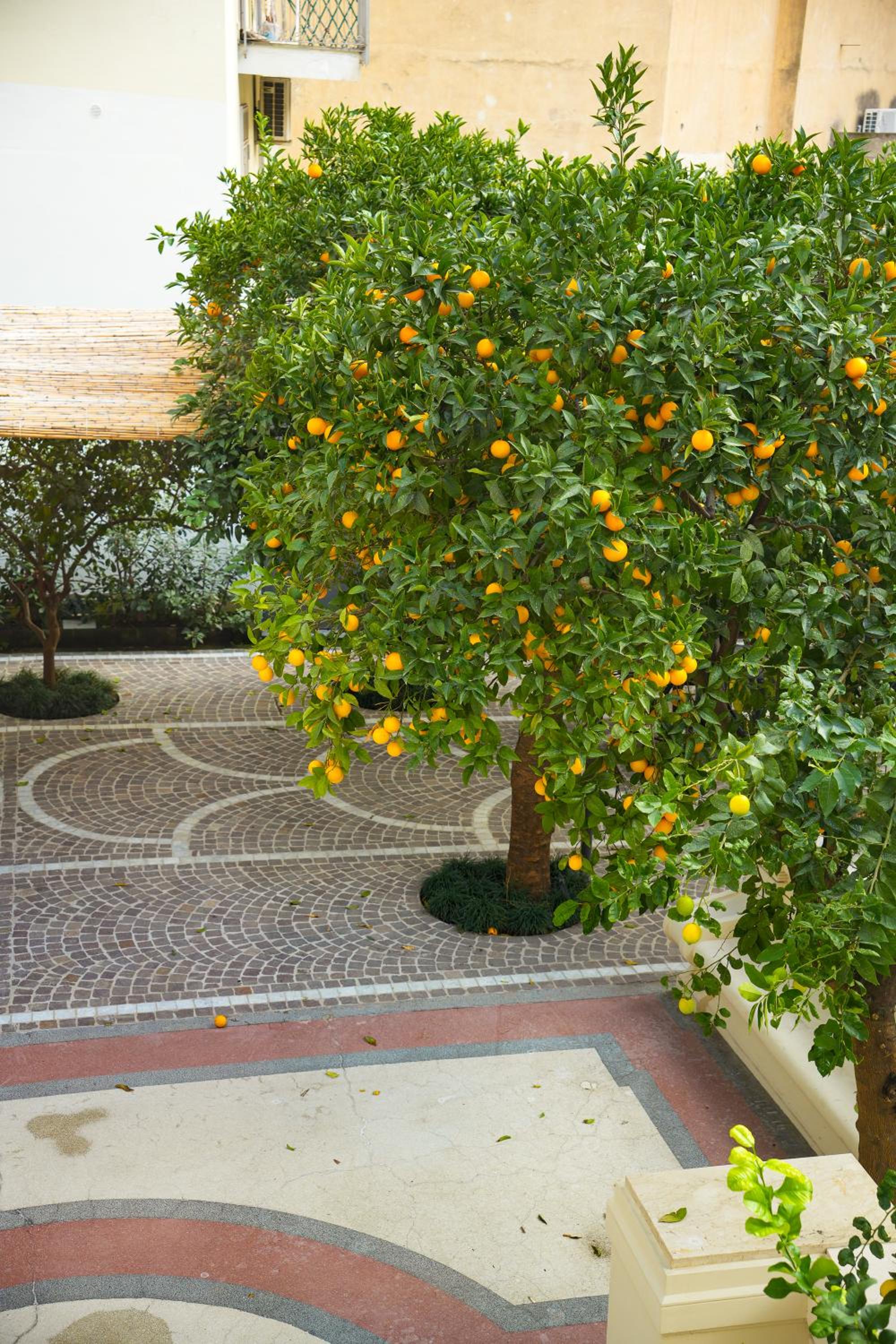 Villa Magnolia