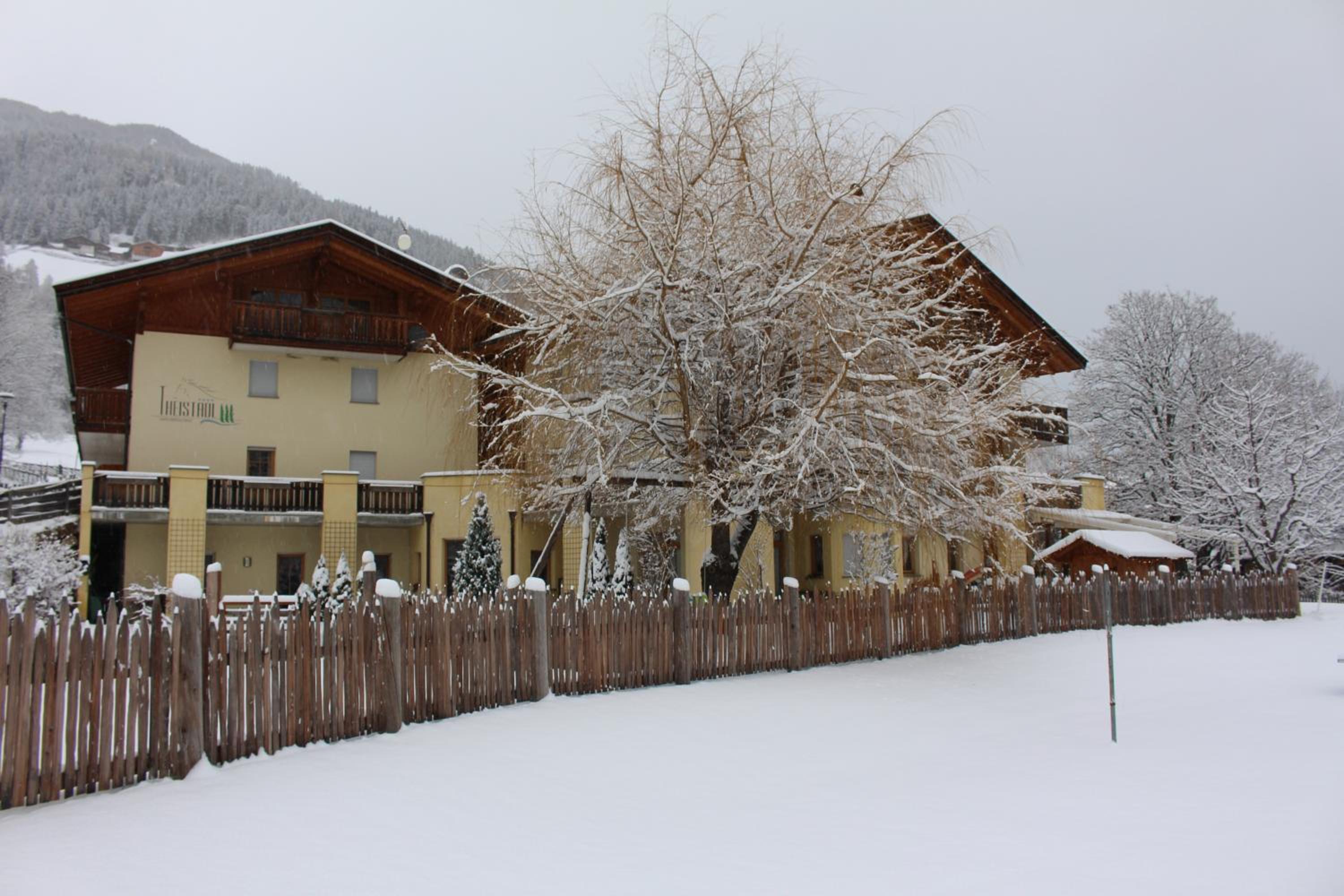Photo 44
