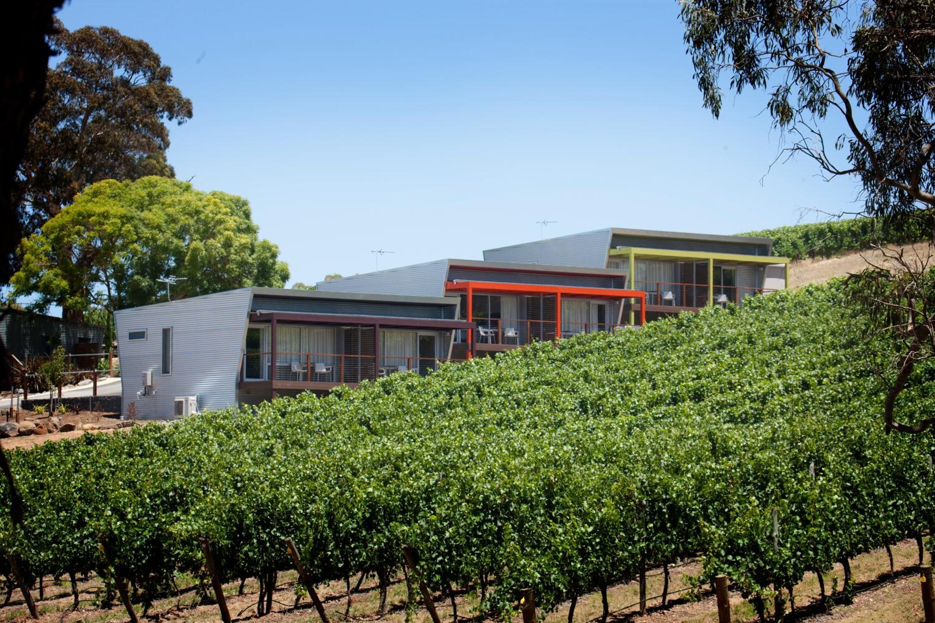 Hotel Longview Vineyard