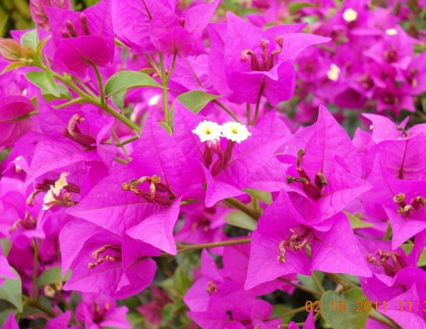 Photo 37